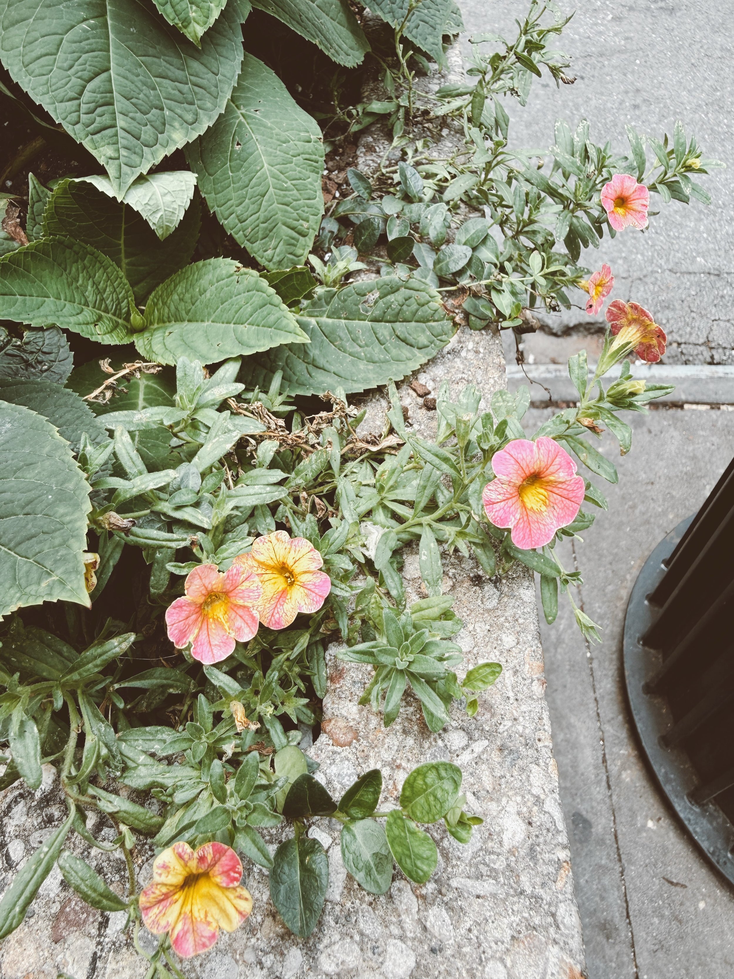 this &amp; that. ♡✌︎

MRI&rsquo;s and gnarly pics of my brain and face. life is&hellip;interesting lately. figuring out what&rsquo;s wrong with my body has been a long arduous journey but it feels like maybe answers are coming finally. very much read