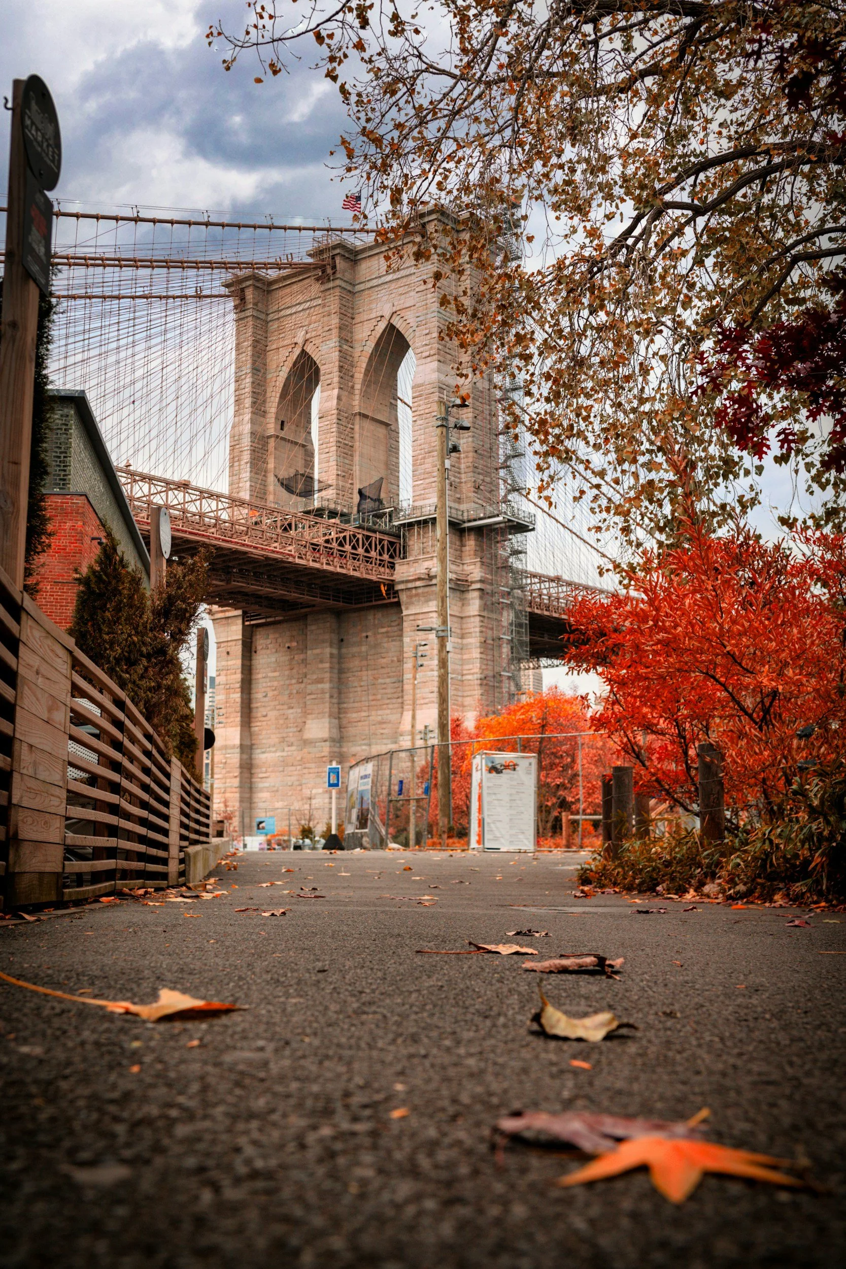 october in nyc.