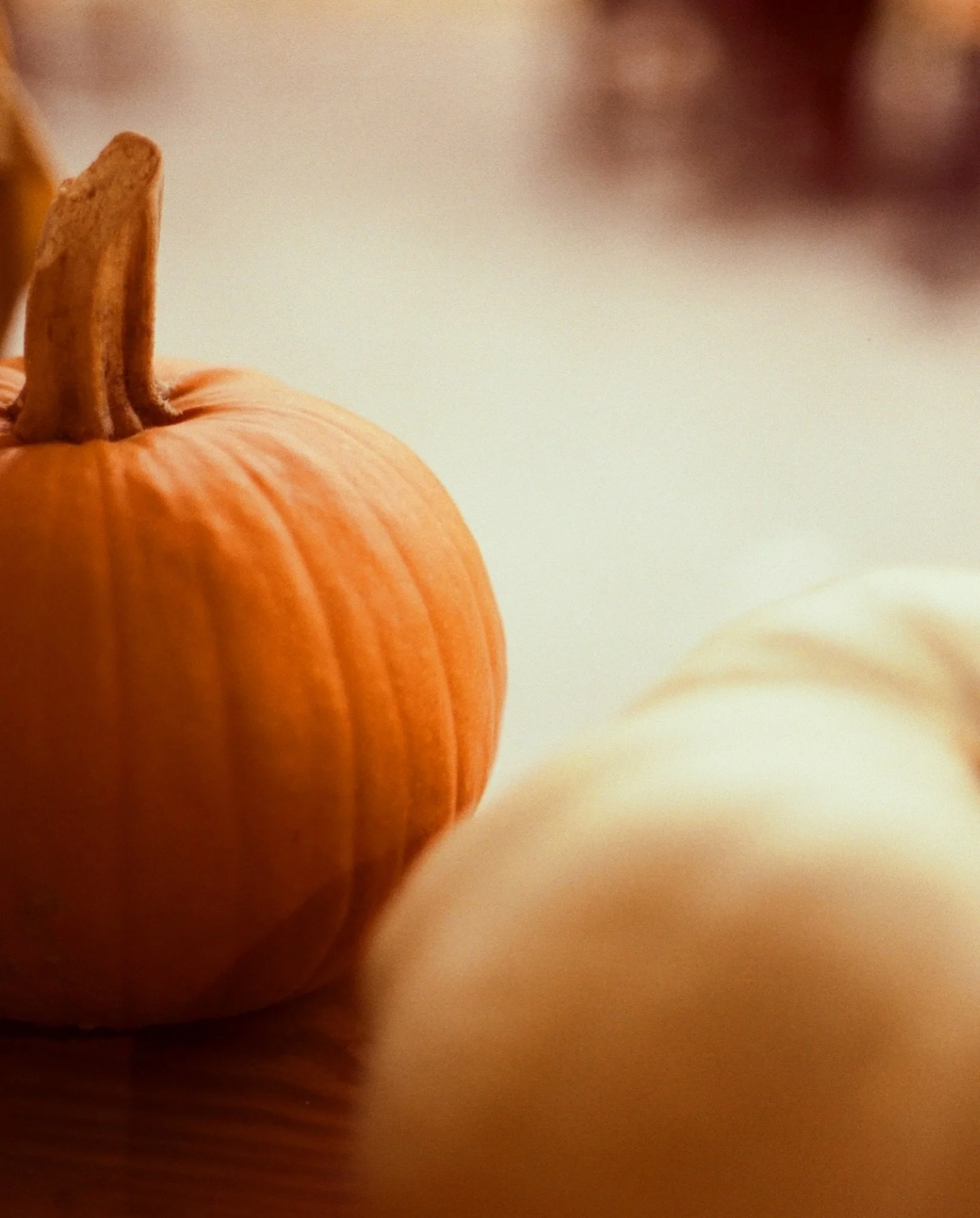 national pumpkin day. 🎃 

the only thing i can&rsquo;t do is pumpkin pie. well, pies in general are usually a NO from me! still. love me a pumpkin. 

swipe to see just how much. 

enjoy the week guys &amp; dolls. make it a fun one. 

#nationalpumpki