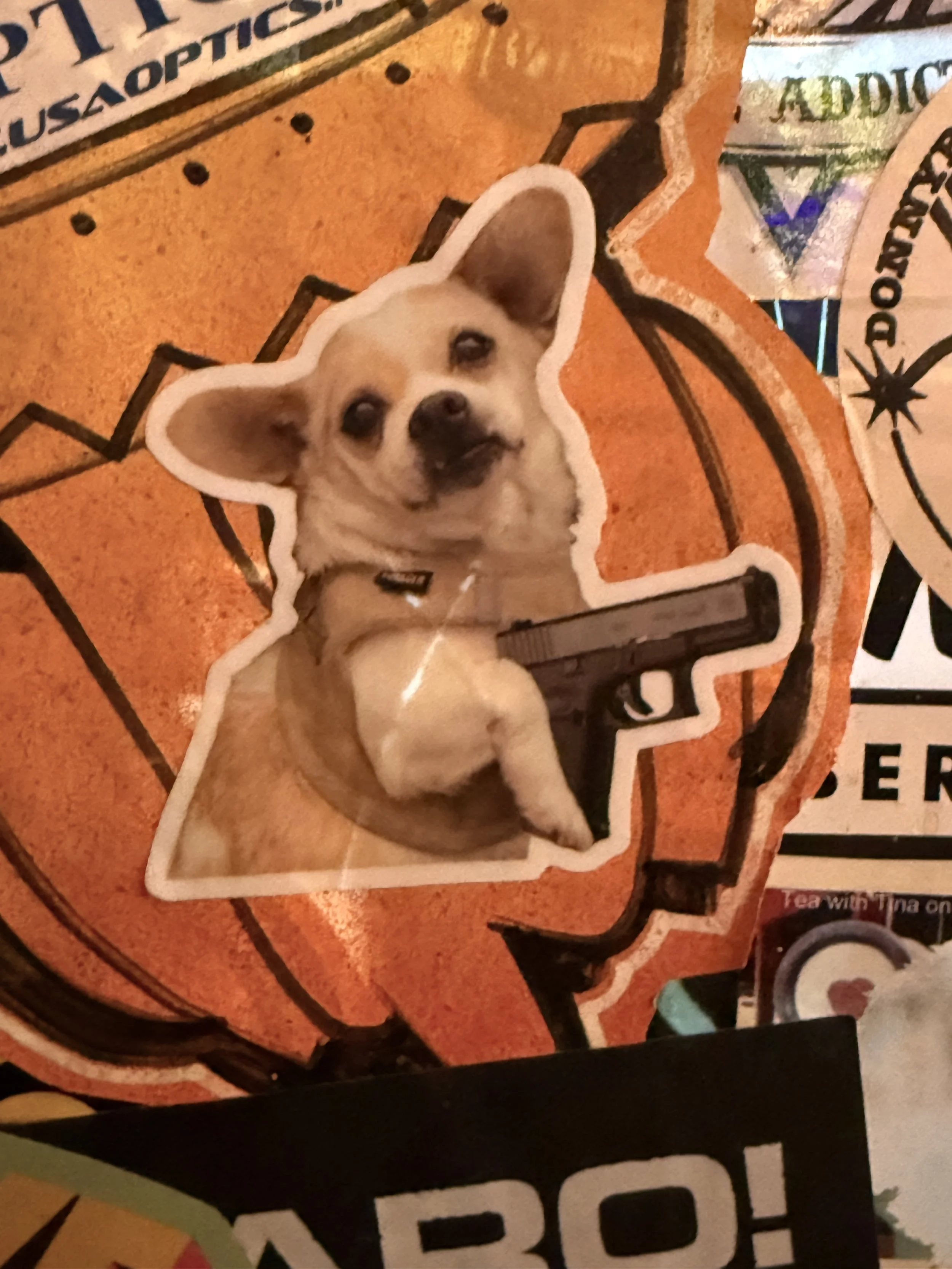 IMG_1619.jpeg