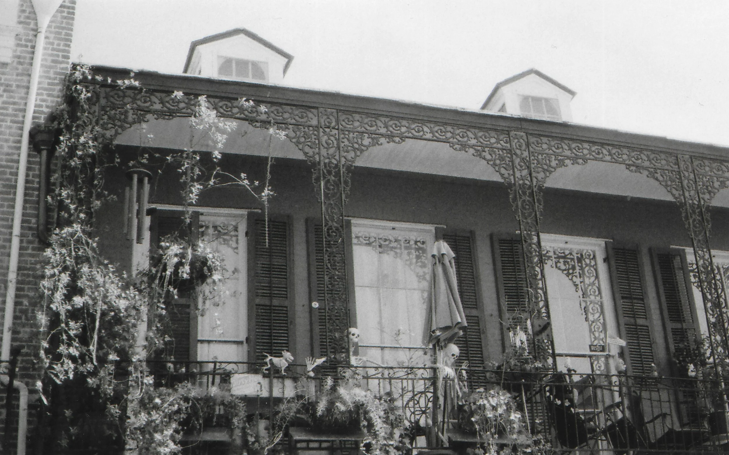 Photo_2025-04-14_003309 copy.JPG