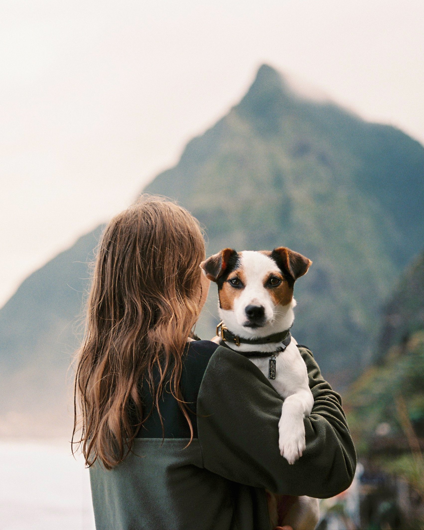 A fine art 35mm film portrait of a Jack Russell Terrier dog and the owner standing in front of green mountain in Madeira.