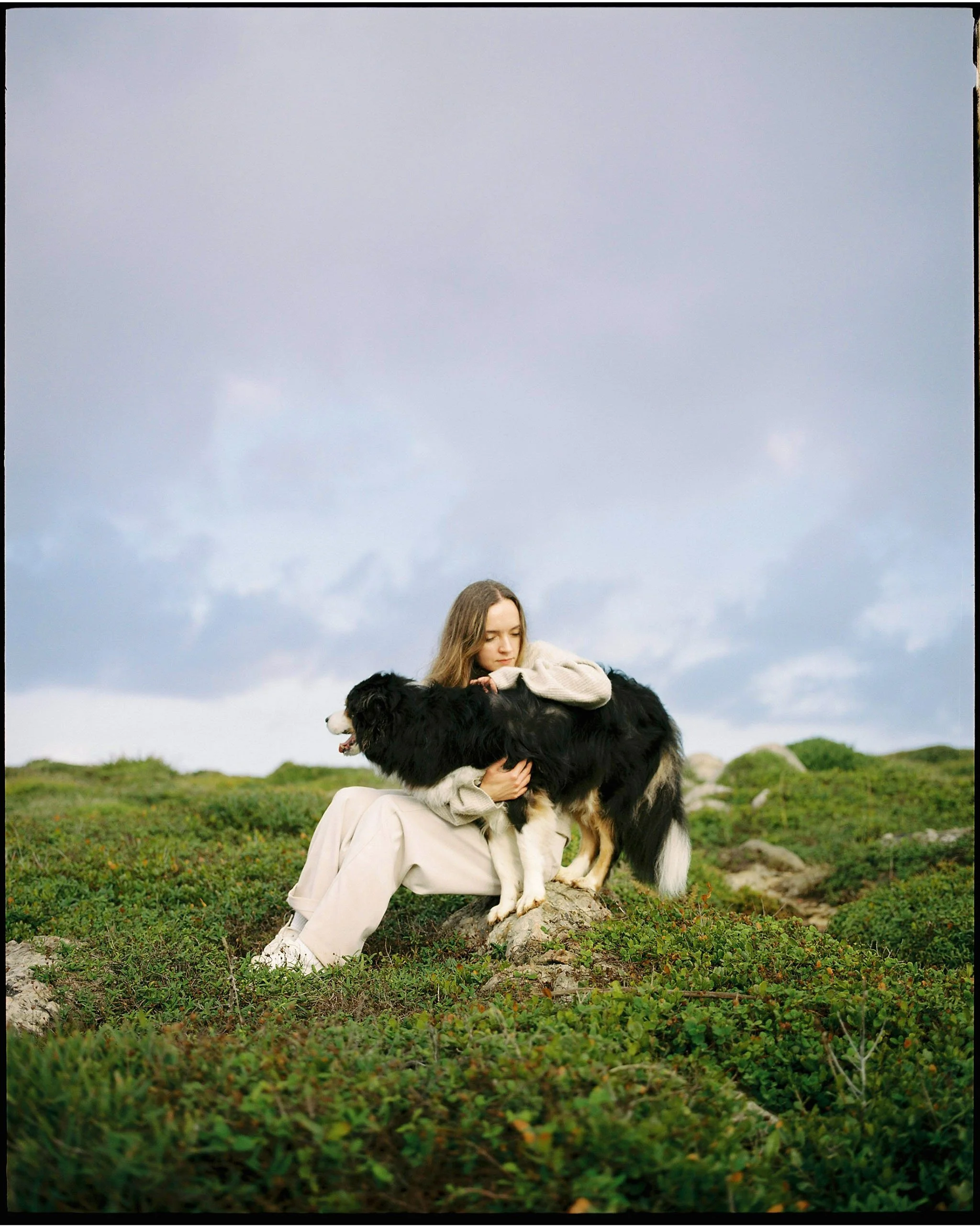 A fine art medium format film portrait of a Border Collie dog and a woman sitting on rock surrounded by green succulents near the beach.