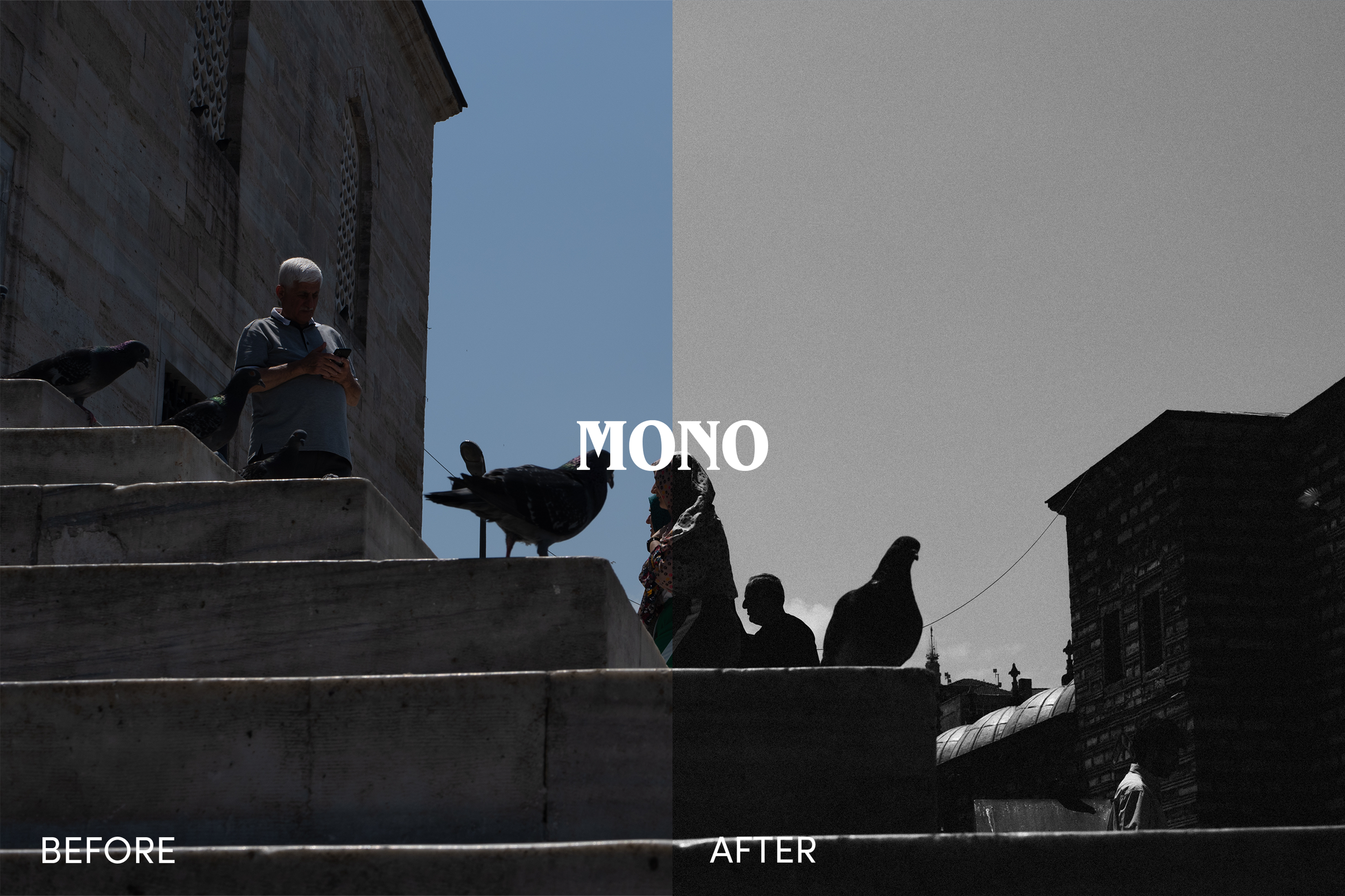 MONO1.png
