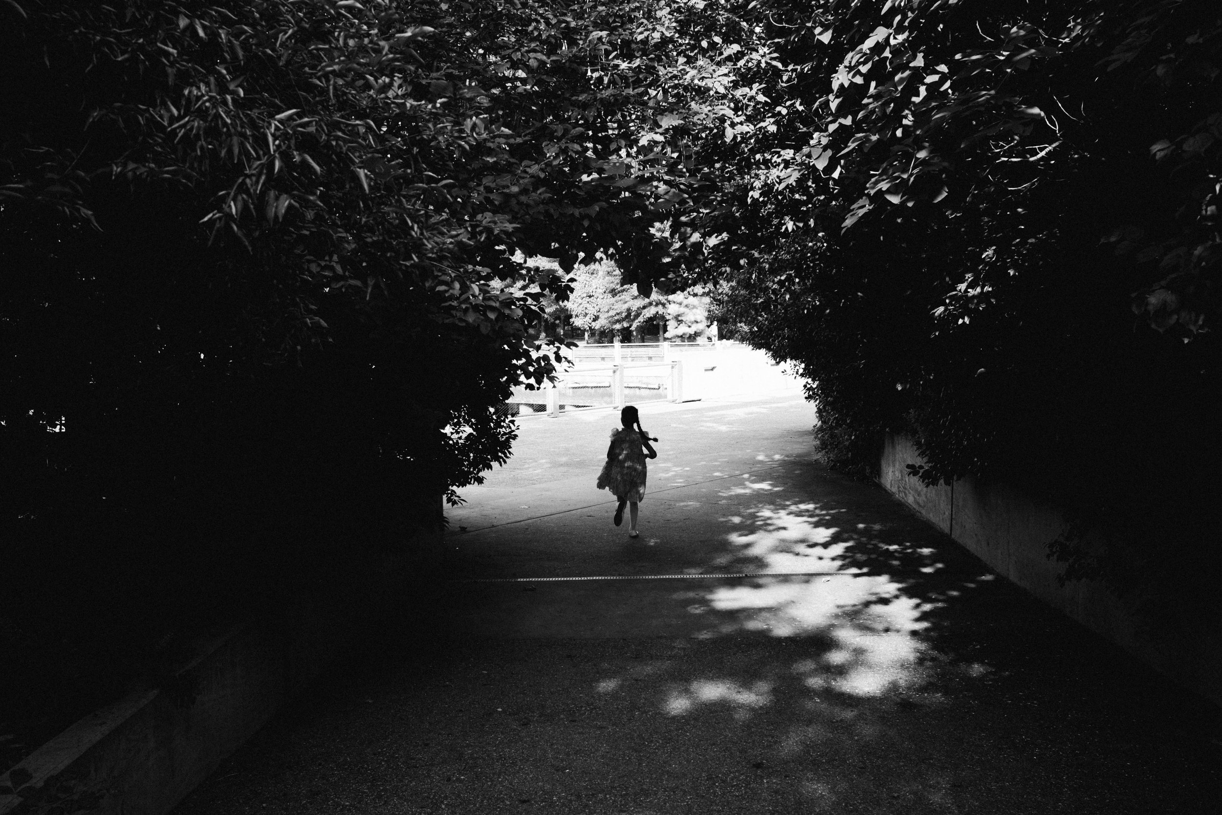 DSCF0939.jpg