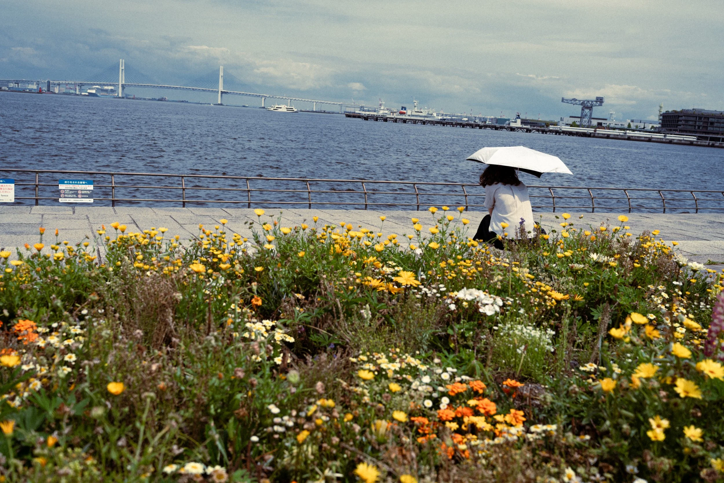 Street Photography in Yokohama Japan with Sony A7IV
