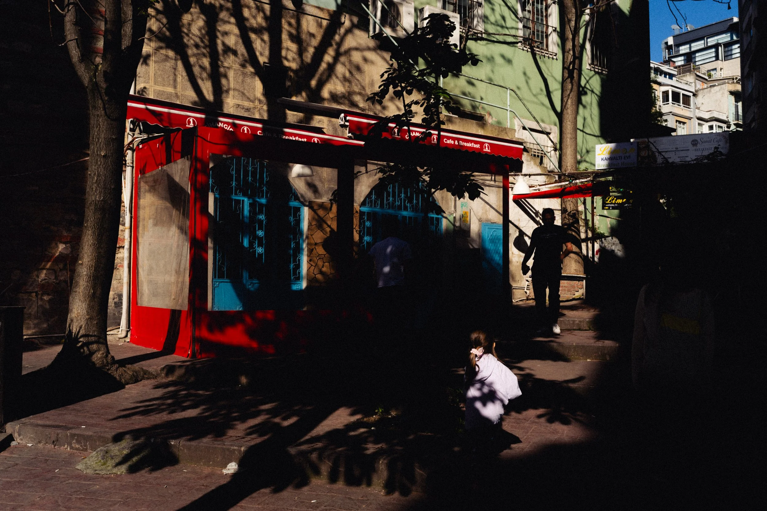 MSF01445.jpg