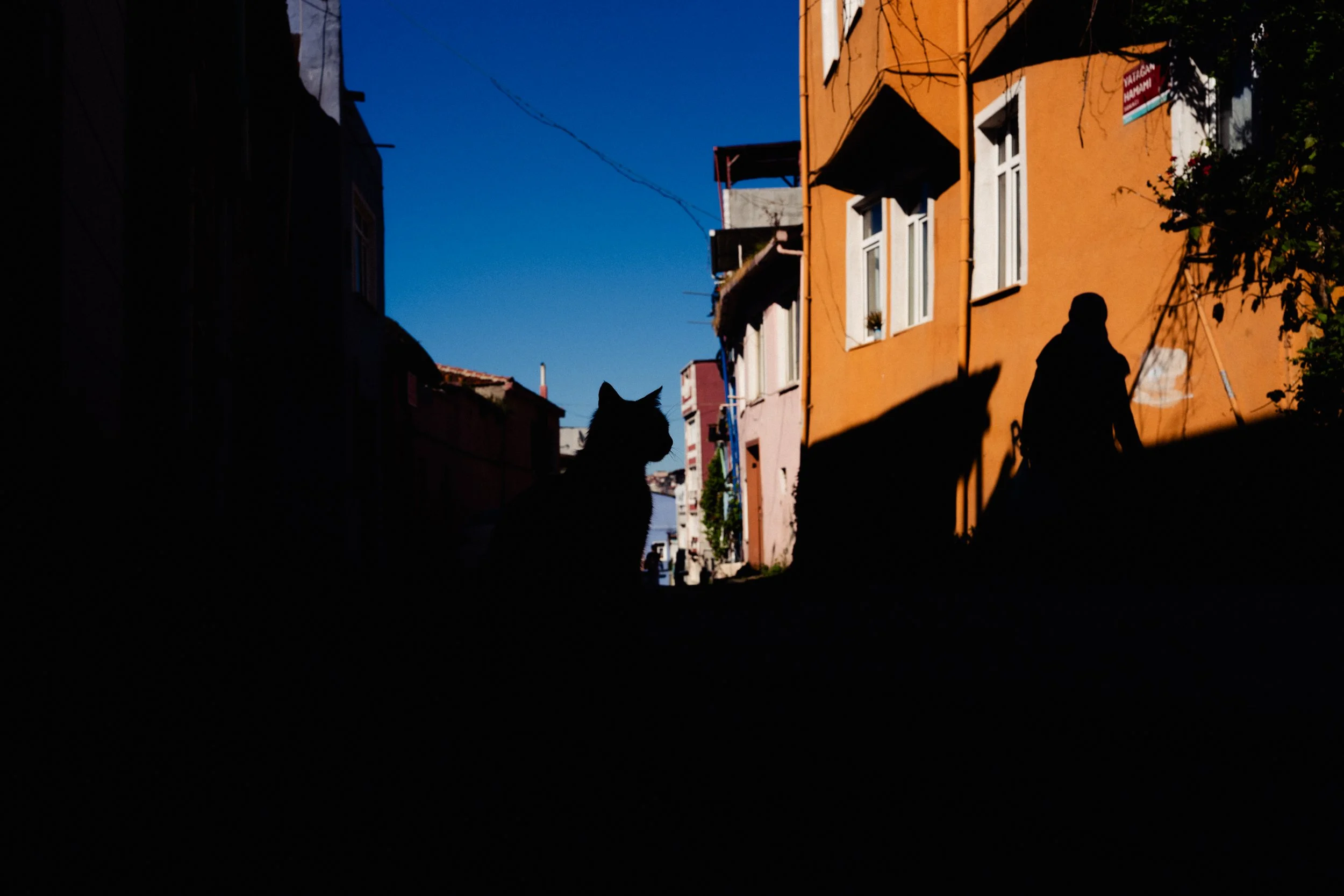 MSF06648.jpg