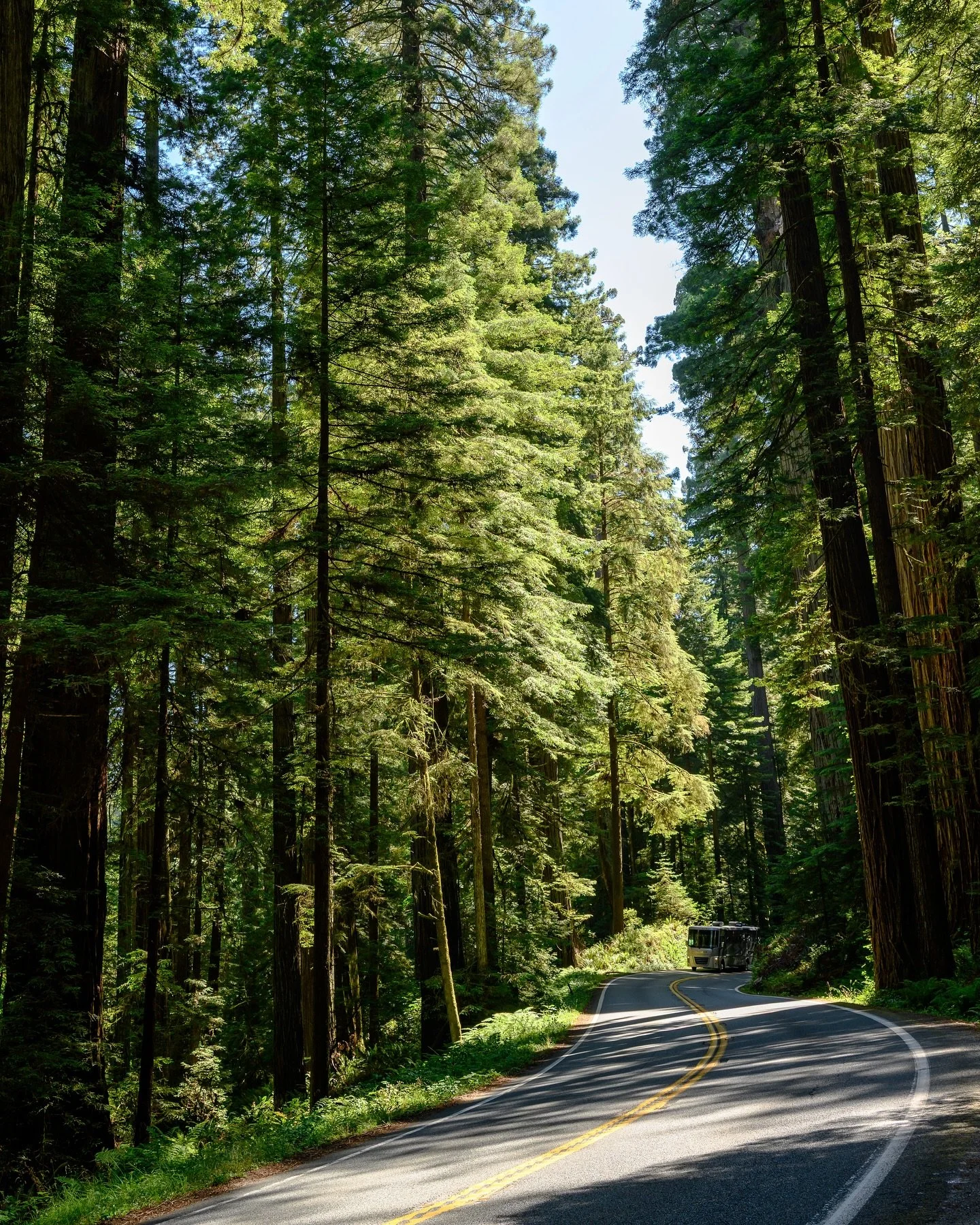 Spent two beautiful weeks on the road up the North Coast and into Oregon. Cell service was non-existent, so here&rsquo;s part one of my solo road trip chronicles. First up: Del Norte Redwoods and Tillamook Bay.