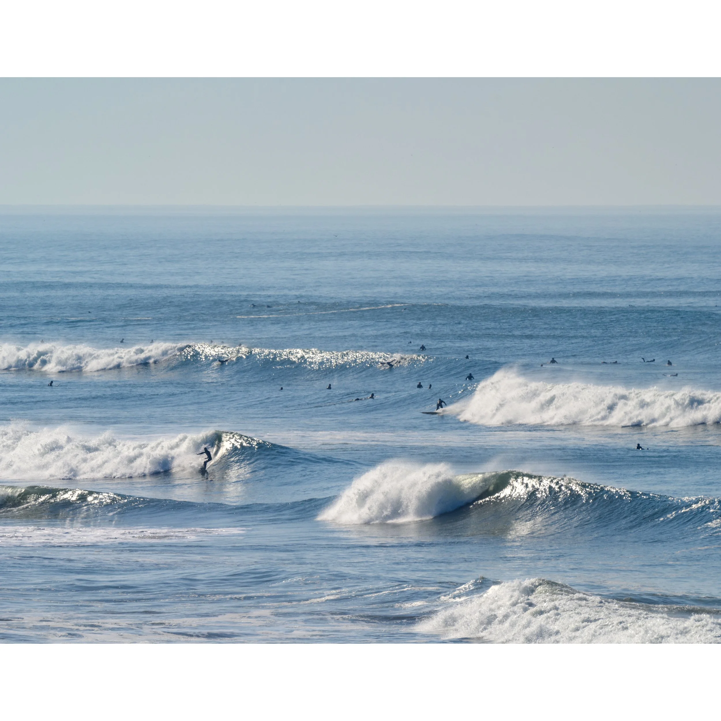 DSC_0303SQ.jpg