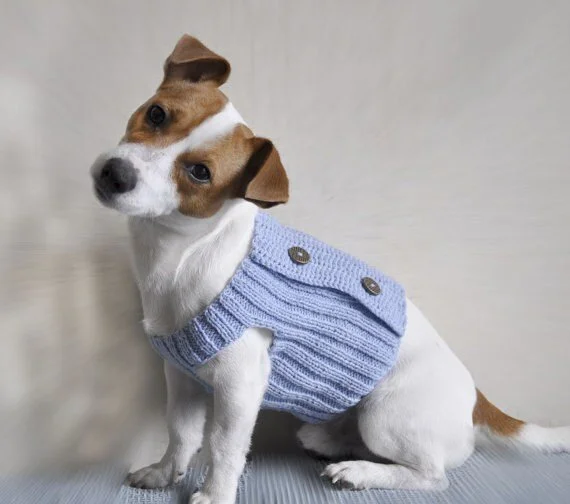 Crochet Pattern Sky Blue Dog Sweater