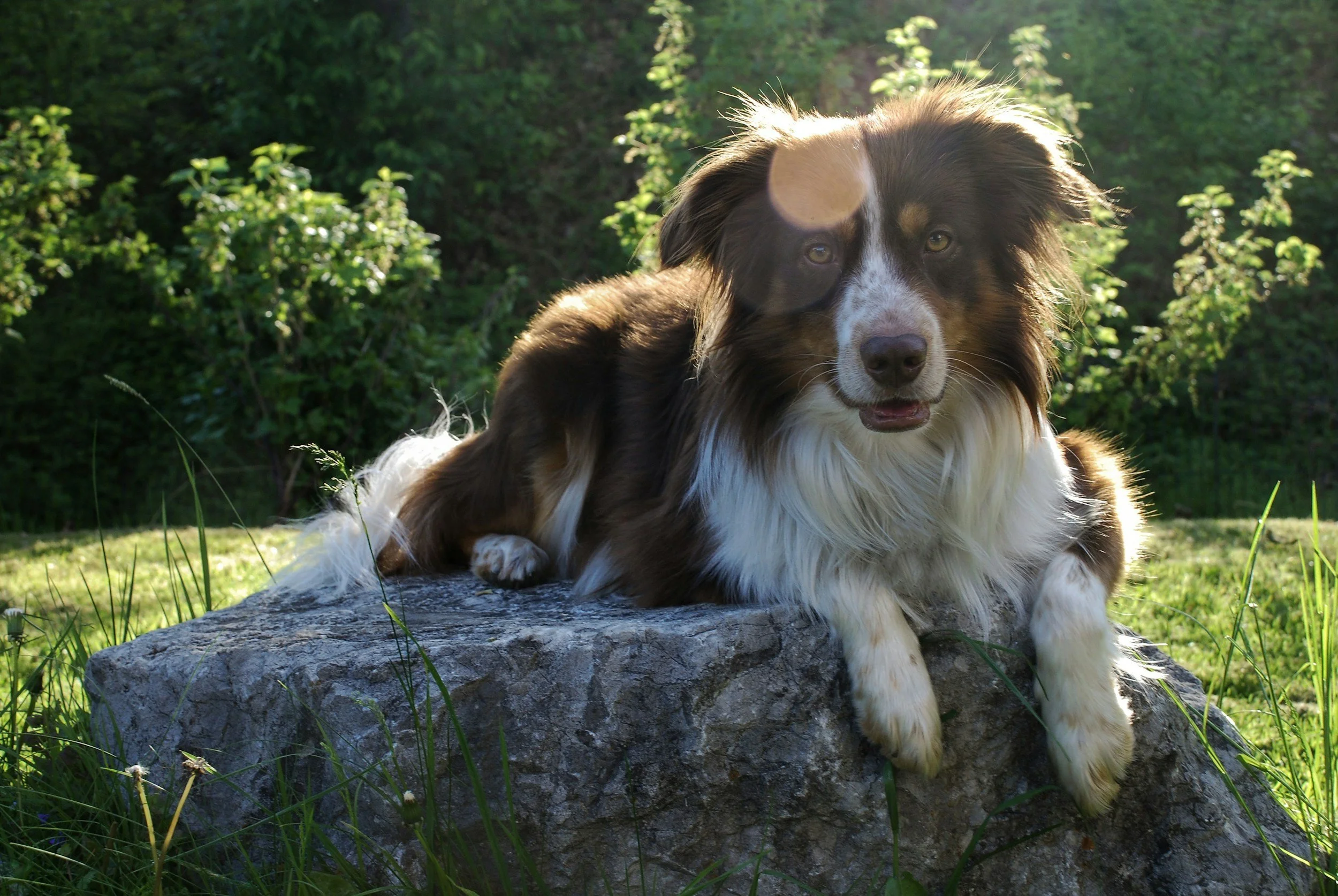 Summer Heatwaves and Heavy Coats