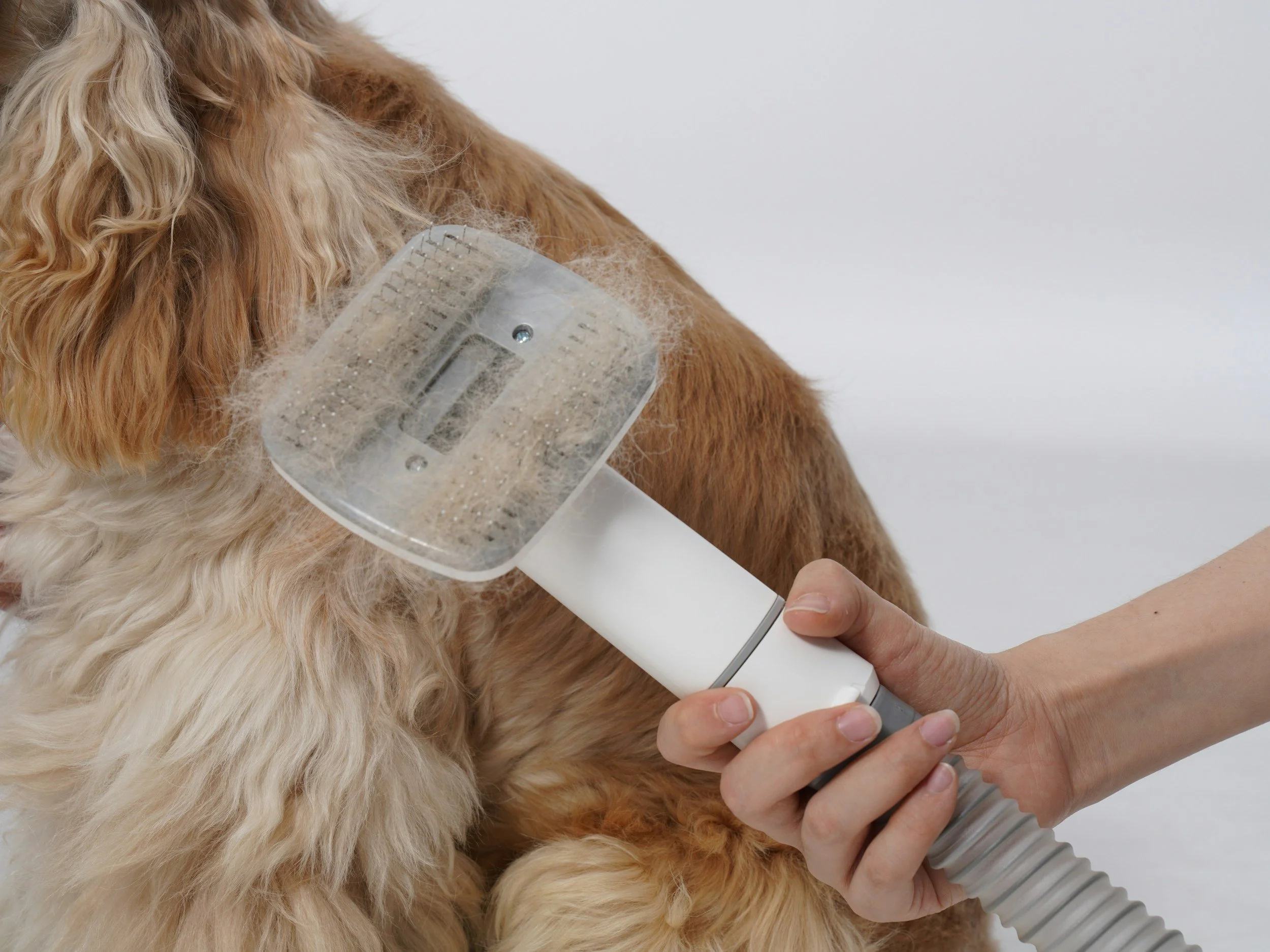 Choosing a Mobile Pet Groomer in Wheaton and Glen Ellyn: What to Look For