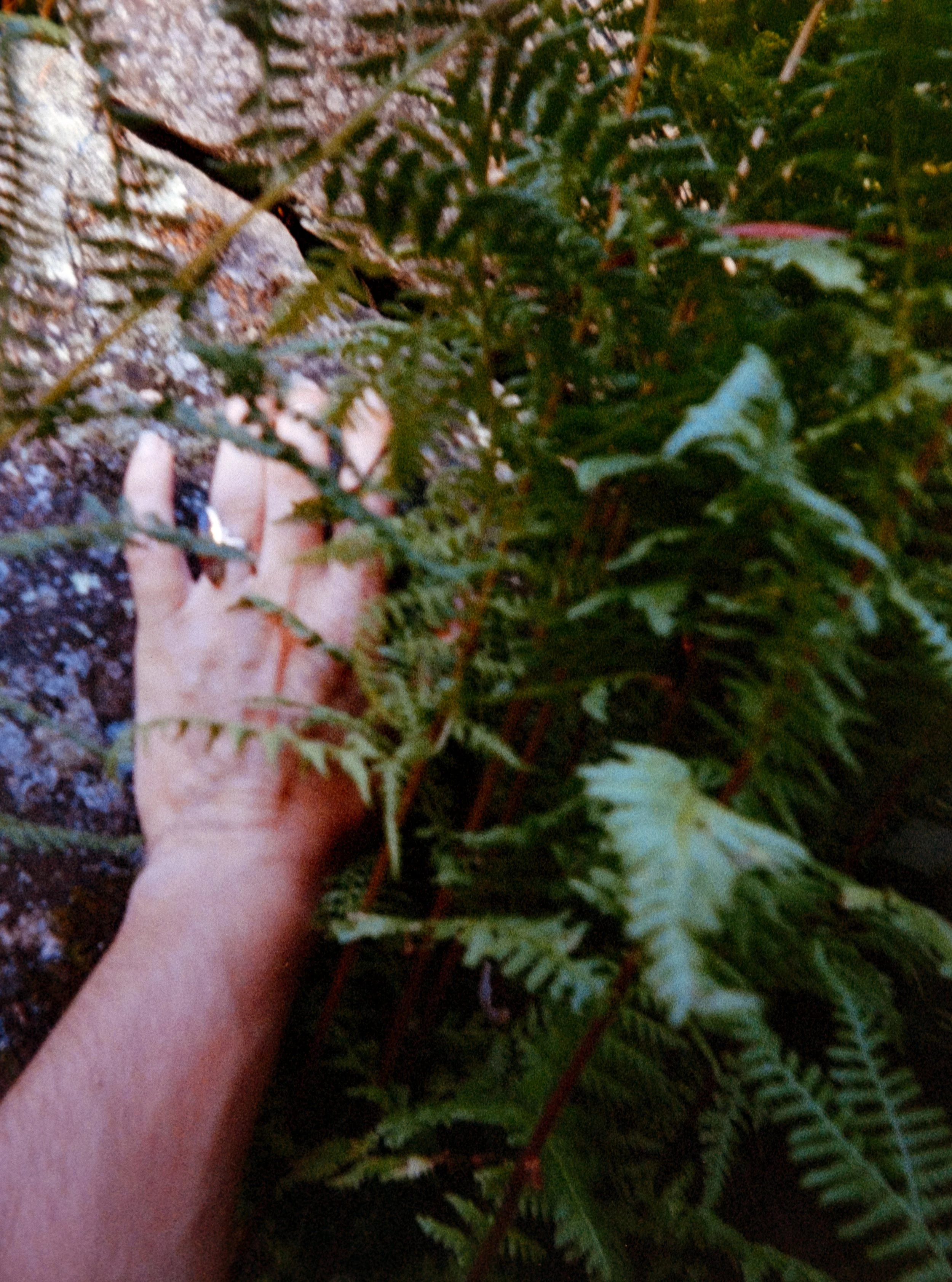 Scans iLA Filmlab-420.jpg