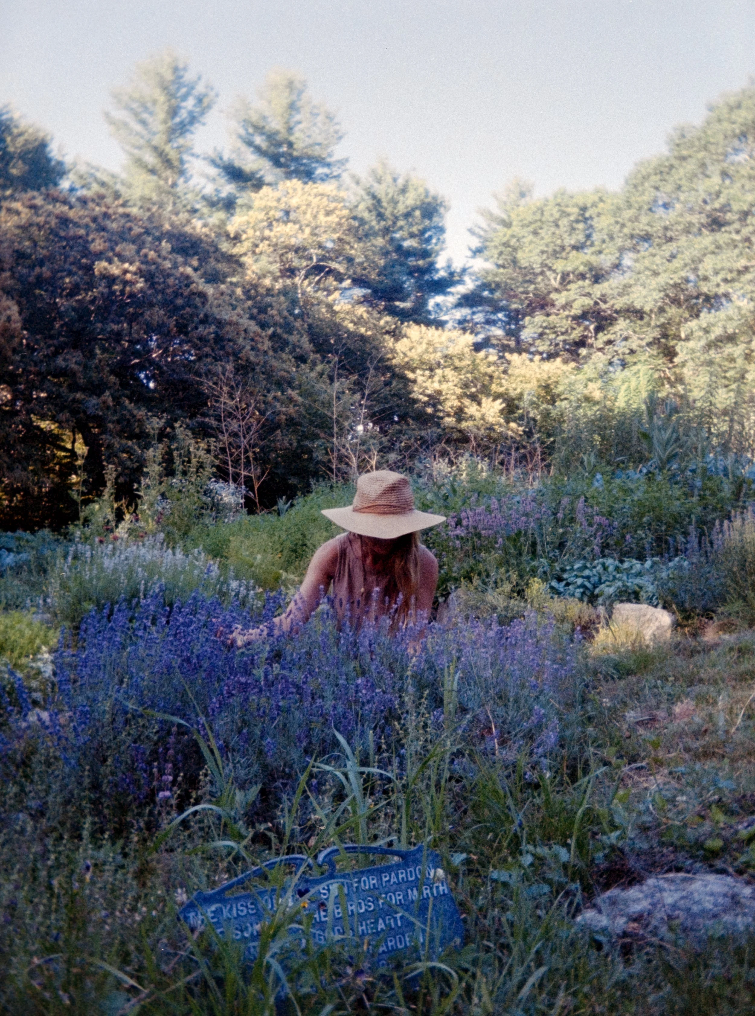 Scans iLA Filmlab-438.jpg