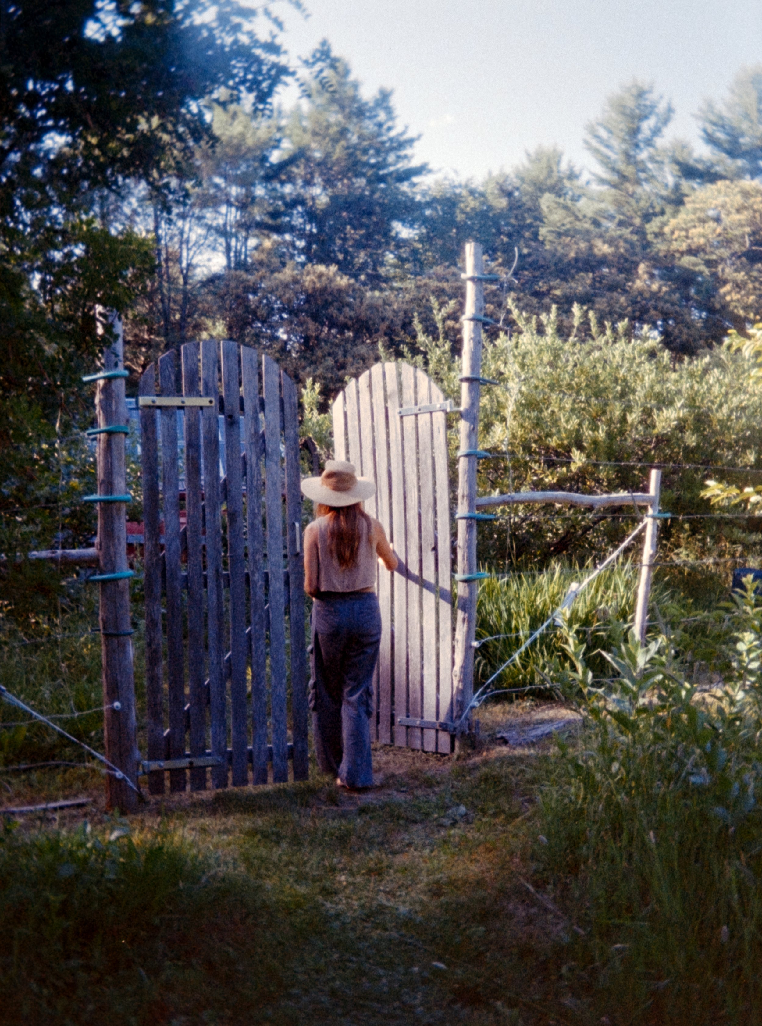 Scans iLA Filmlab-434.jpg