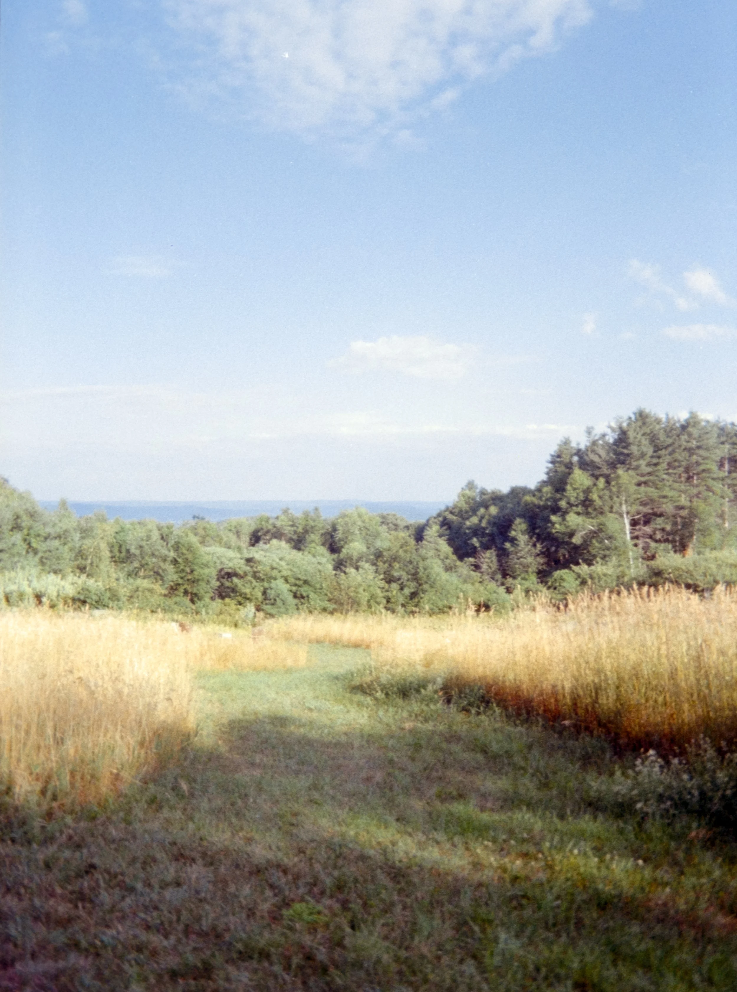 Scans iLA Filmlab-425.jpg
