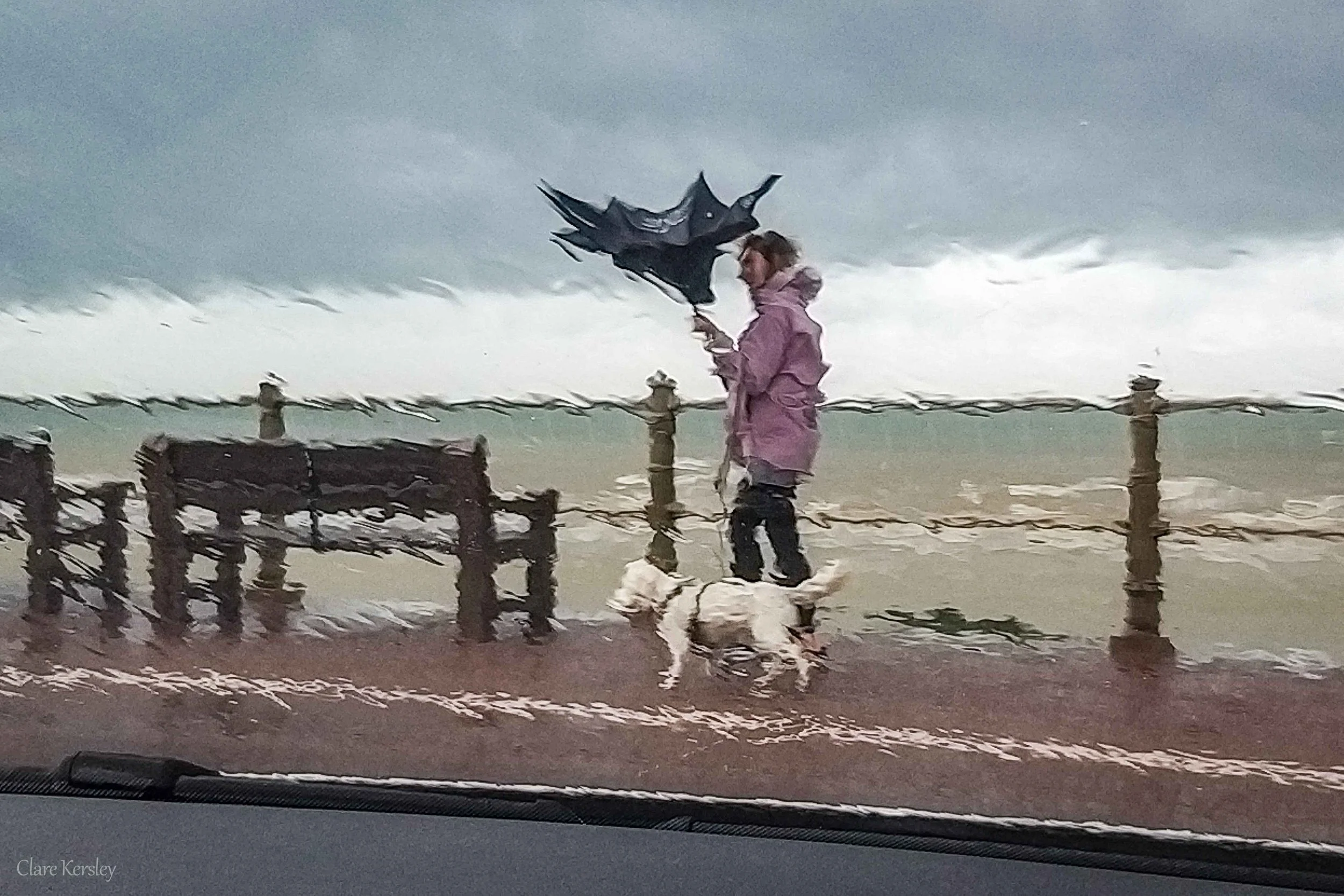 Watching the Rain