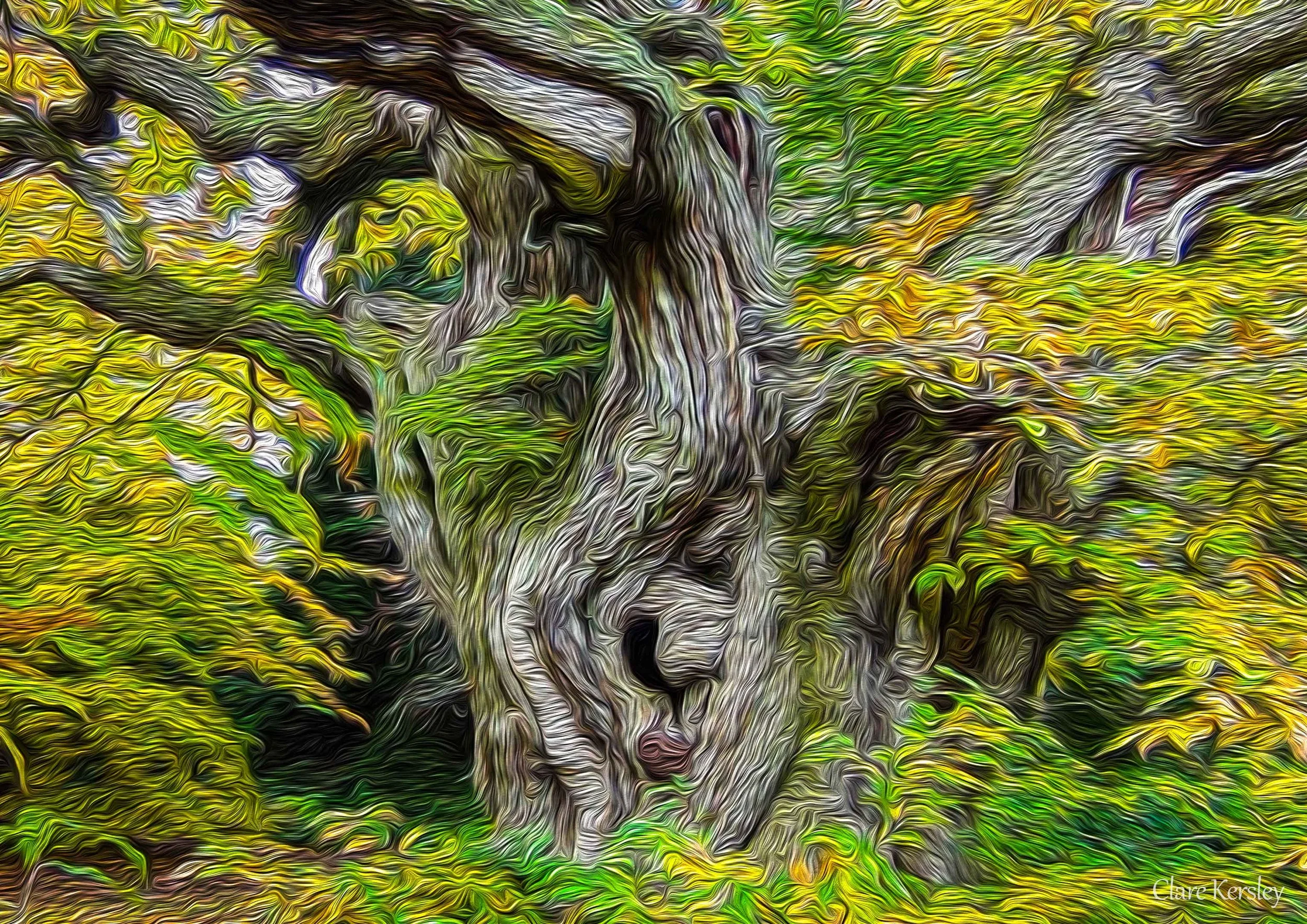 Sheffield Park (02)