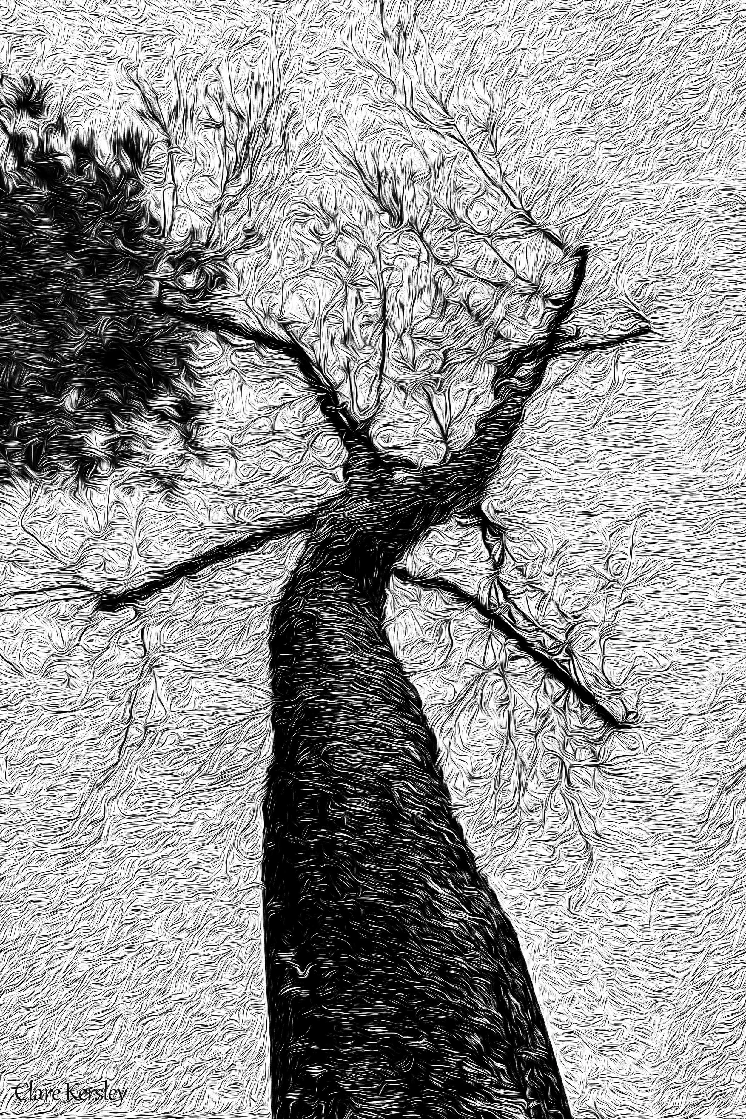 Mother Nature (Pashley Manor Gardens 01)