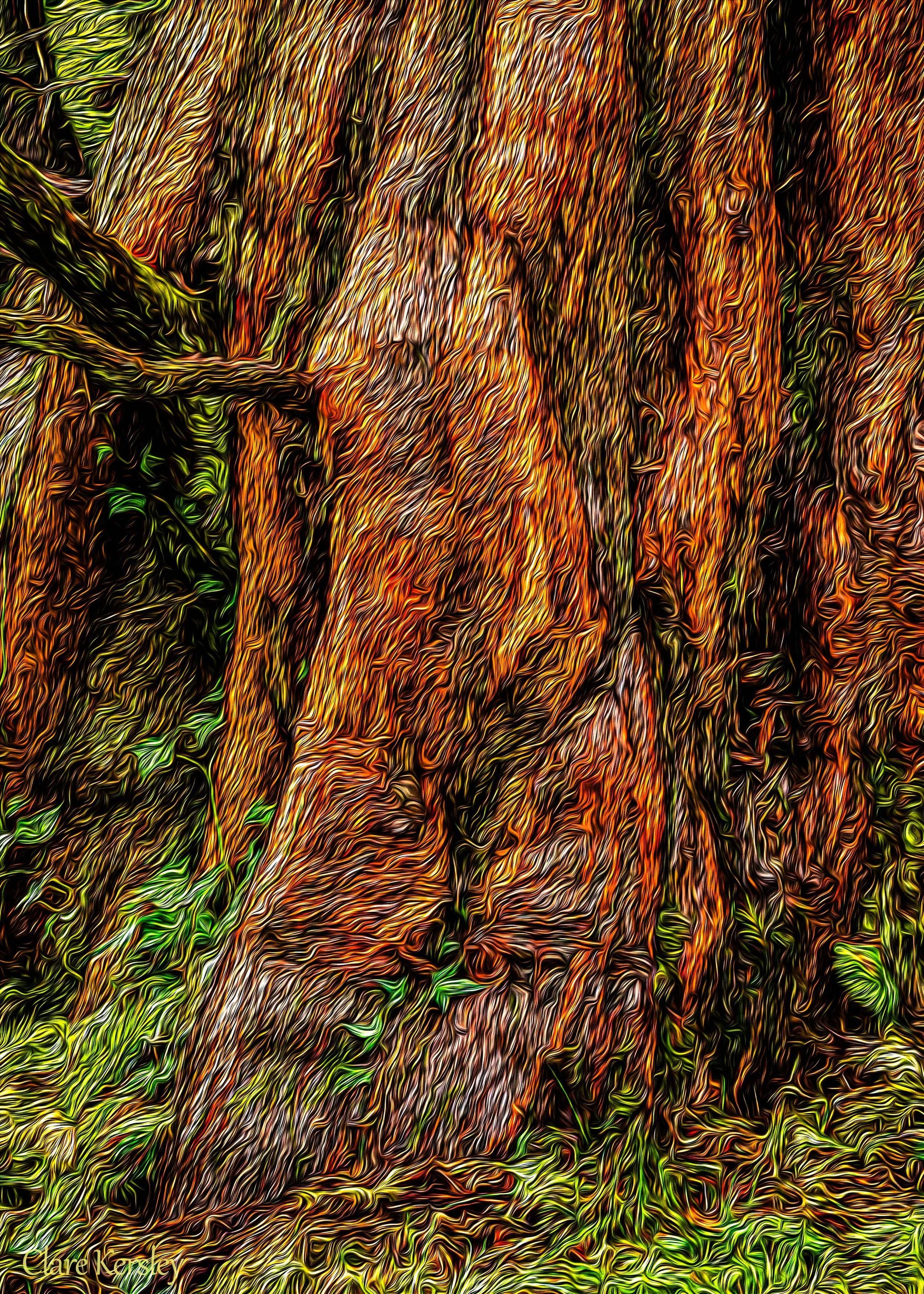 Mother Nature (Pashley Manor Gardens 02)