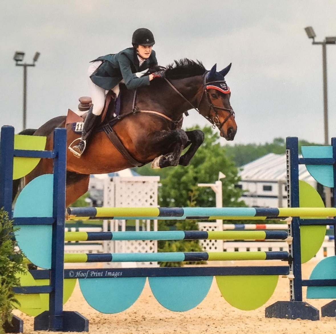 Virginia Rider Training Program Horse and Rider Training in Leesburg Virginia | Clairvaux, LLC