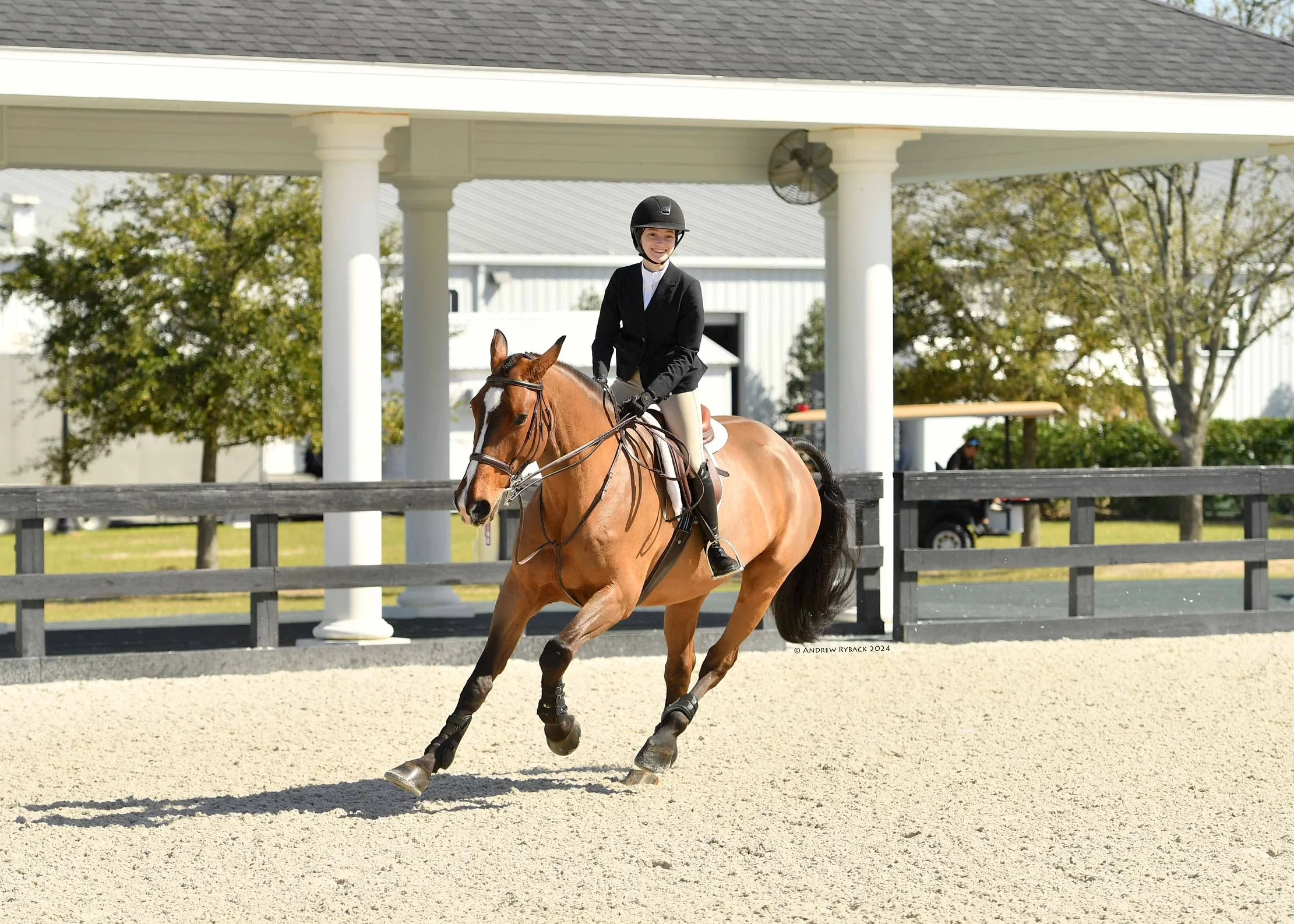 Virginia Rider Training Program Horse and Rider Training in Leesburg Virginia | Clairvaux, LLC