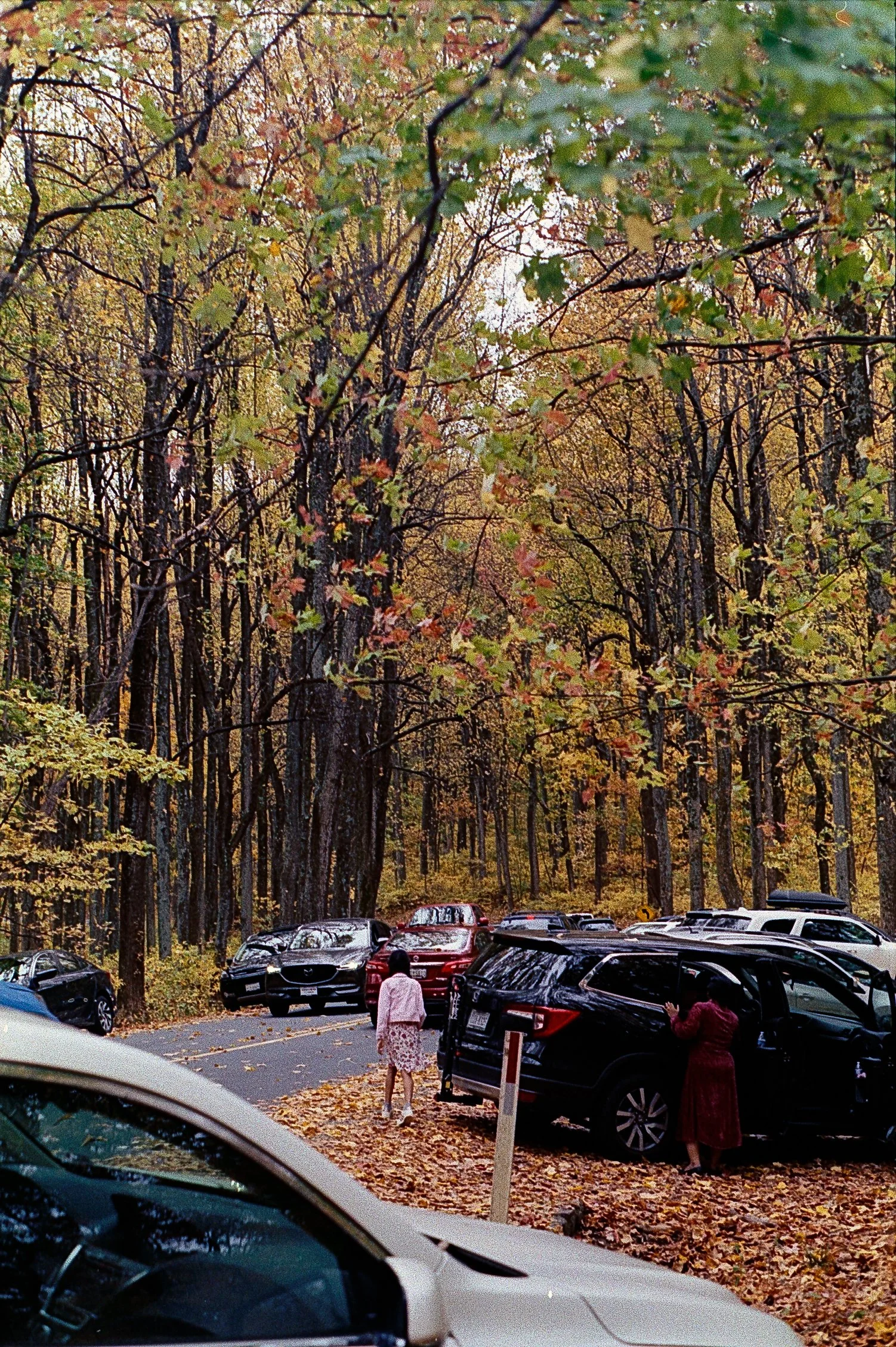 O_Malley_110120 67.jpg