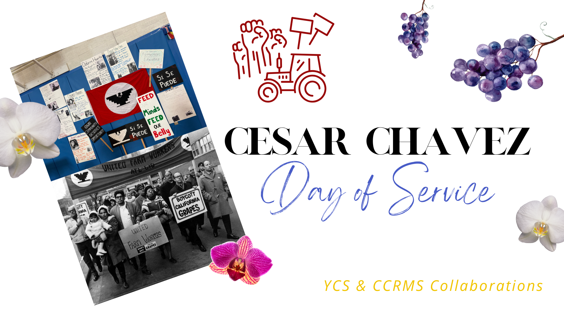 Cesar Chavez Day of Service
