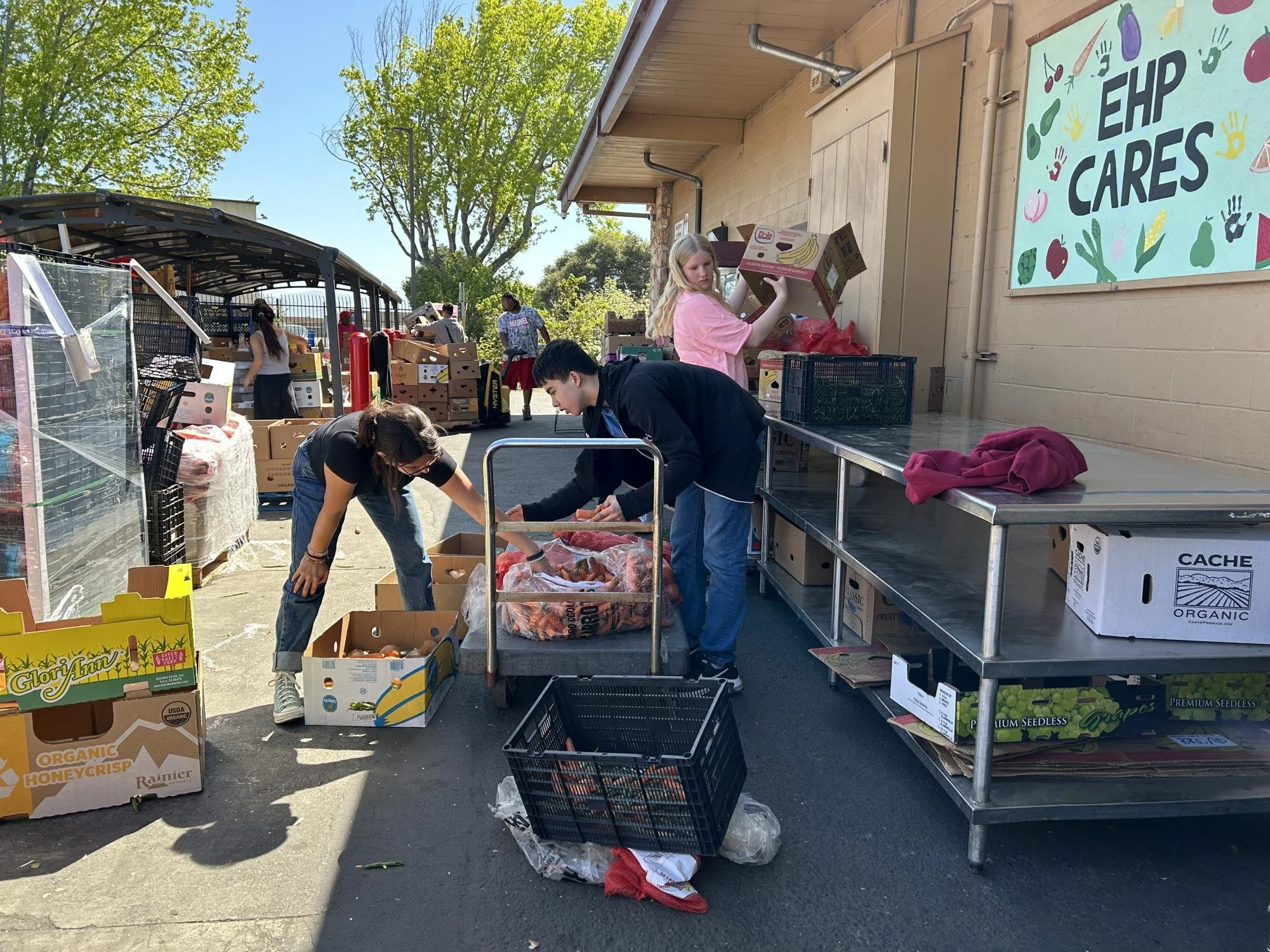 BOXES OF HOPE — Volunteers from the Palo Alto High School Youth Community Service Interact Club pack boxes of food. 