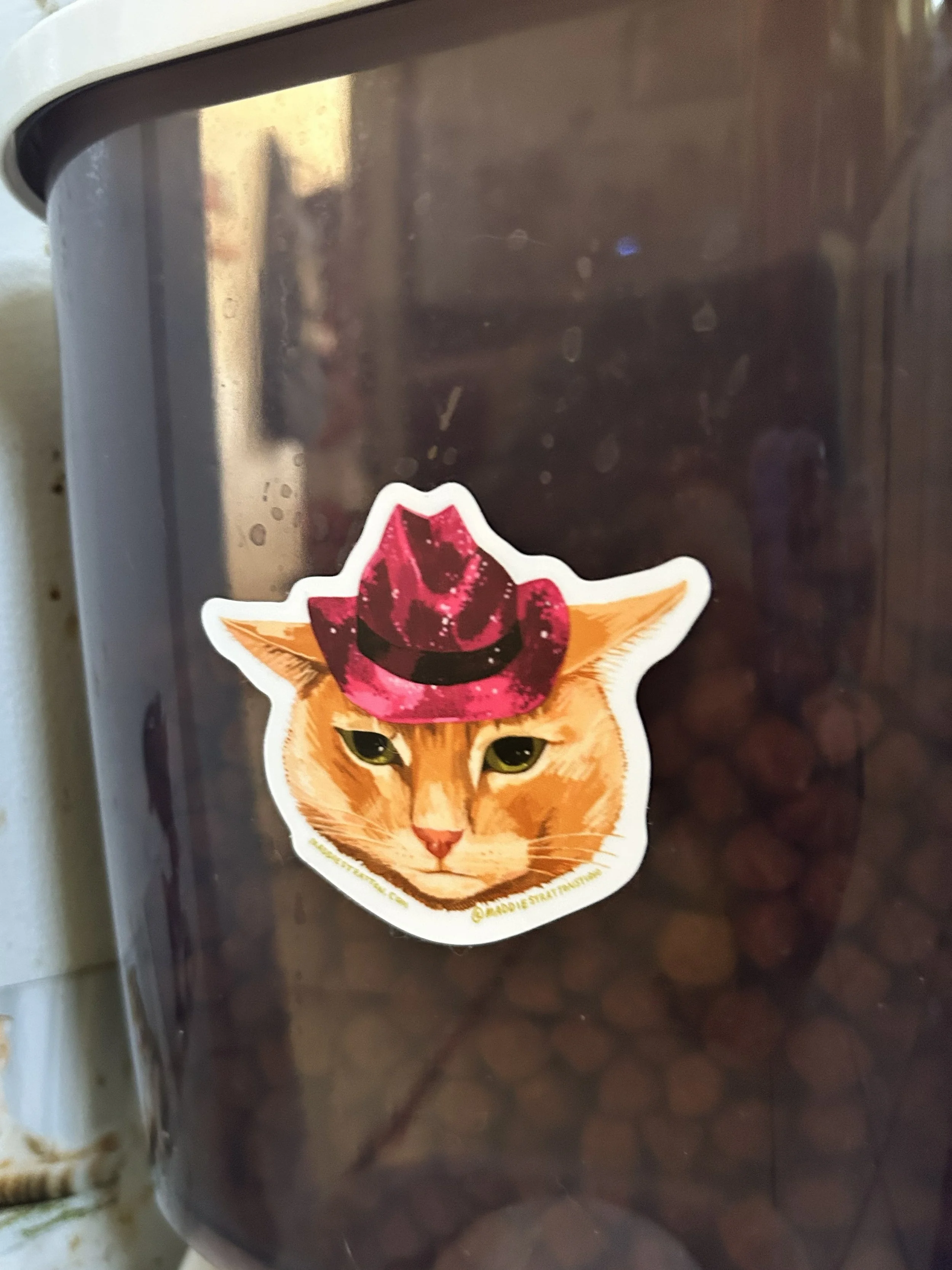 cat sticker in use.jpg