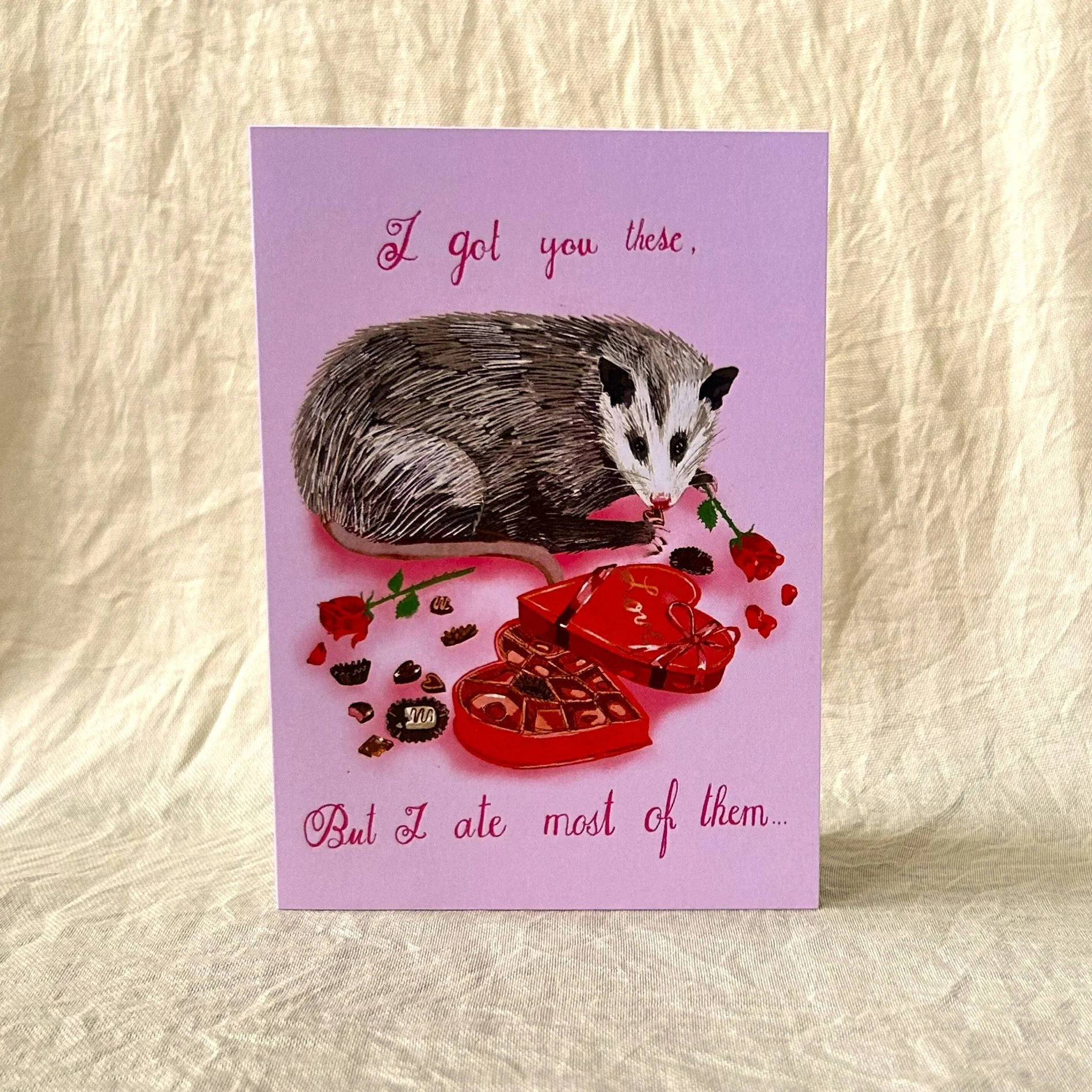 Valentine's Day Possum
