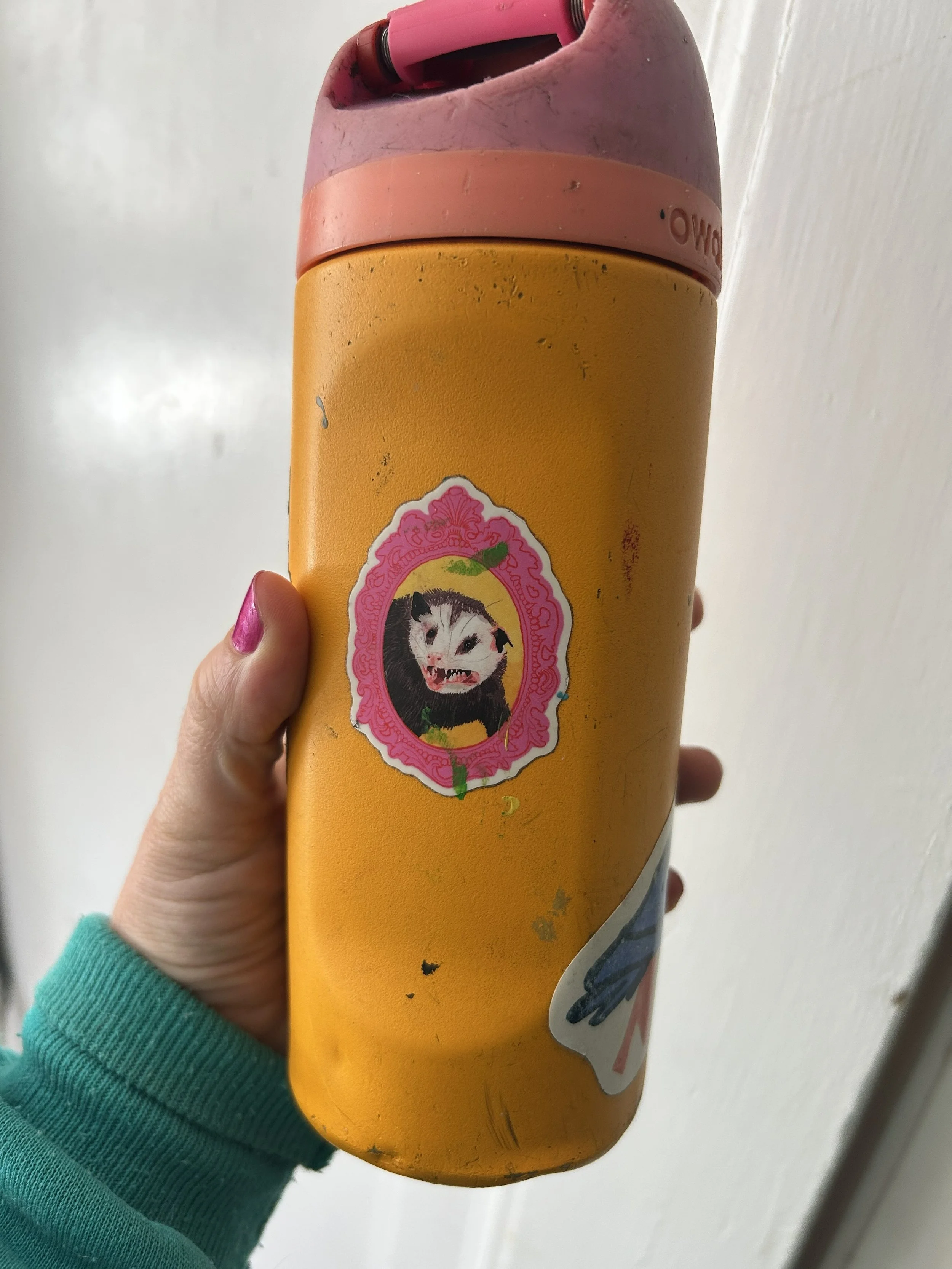 possum on bottle.jpg