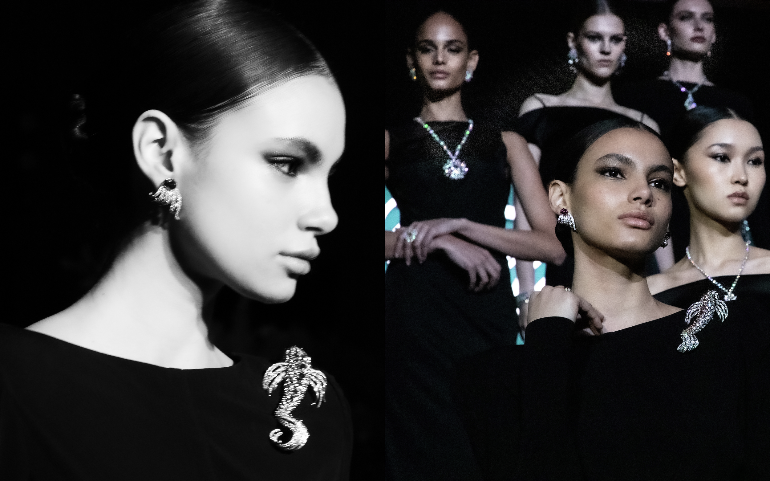 Screenshot 2024-10-13 at 8.54.47 PM.png