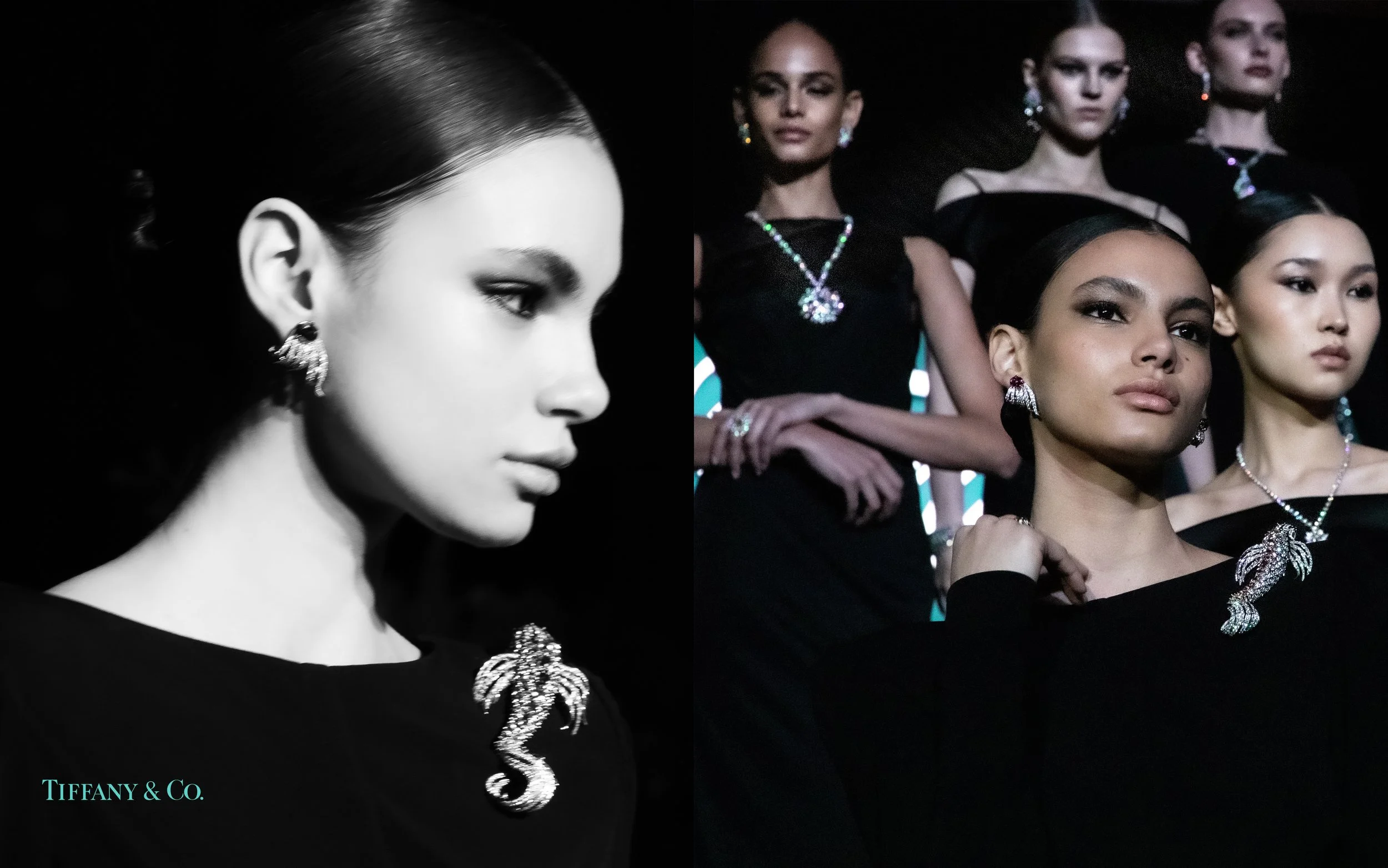 IMG_8424-2 comp.jpeg