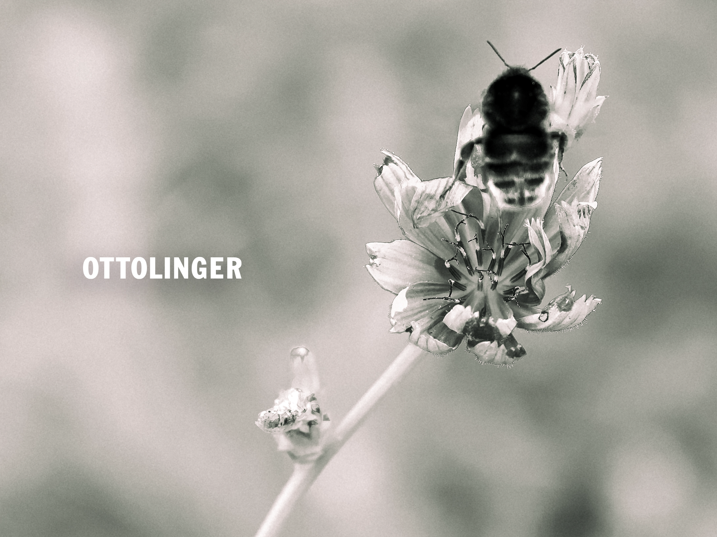 Screenshot 2025-09-09 at 3.26.57 PM.png