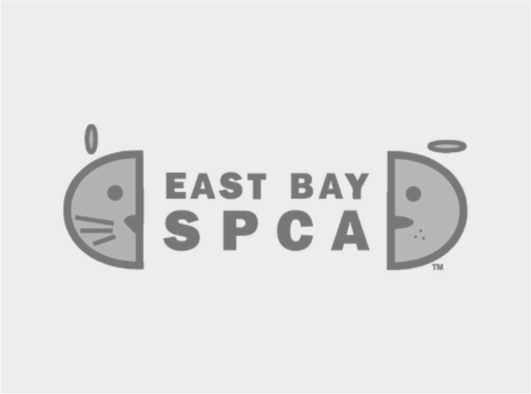logo_3.png