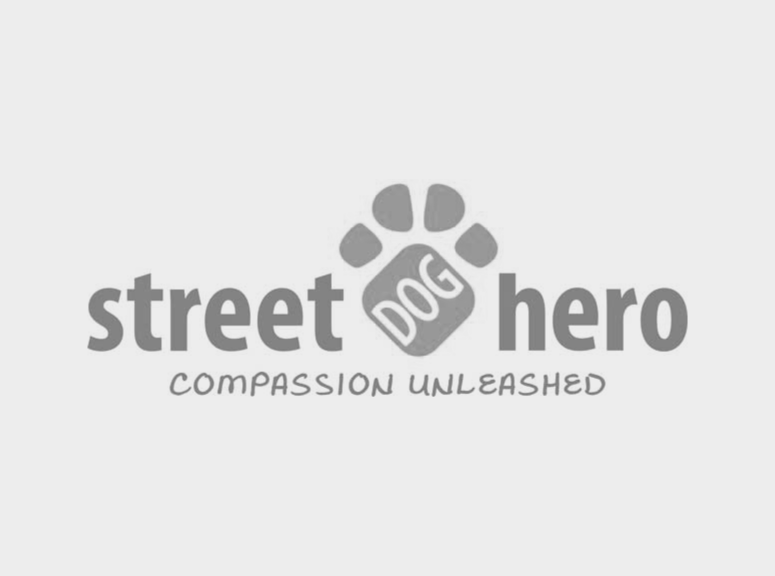 logo-street hero.png
