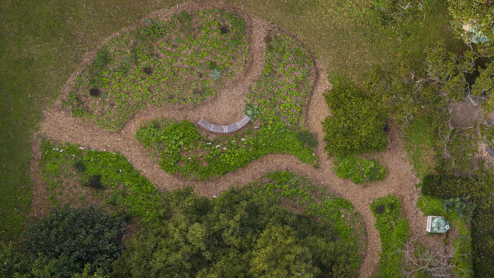Flower Field in Mid-January