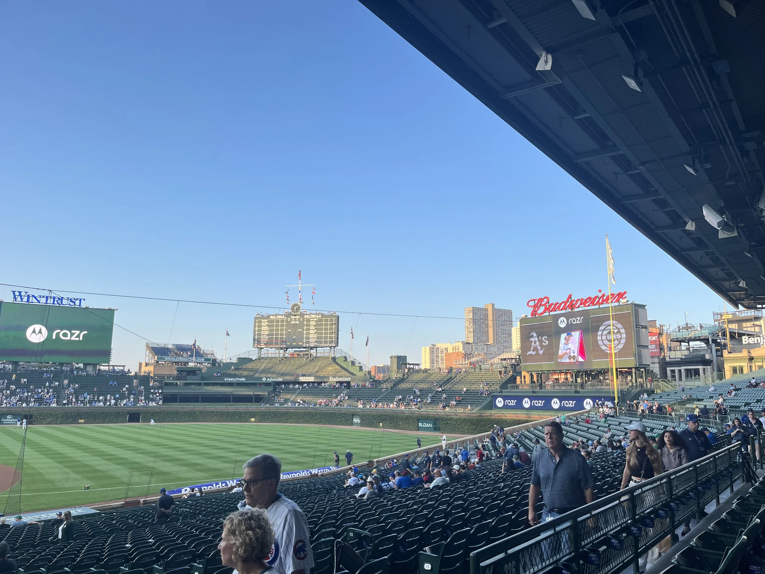 IMG_3602.jpeg