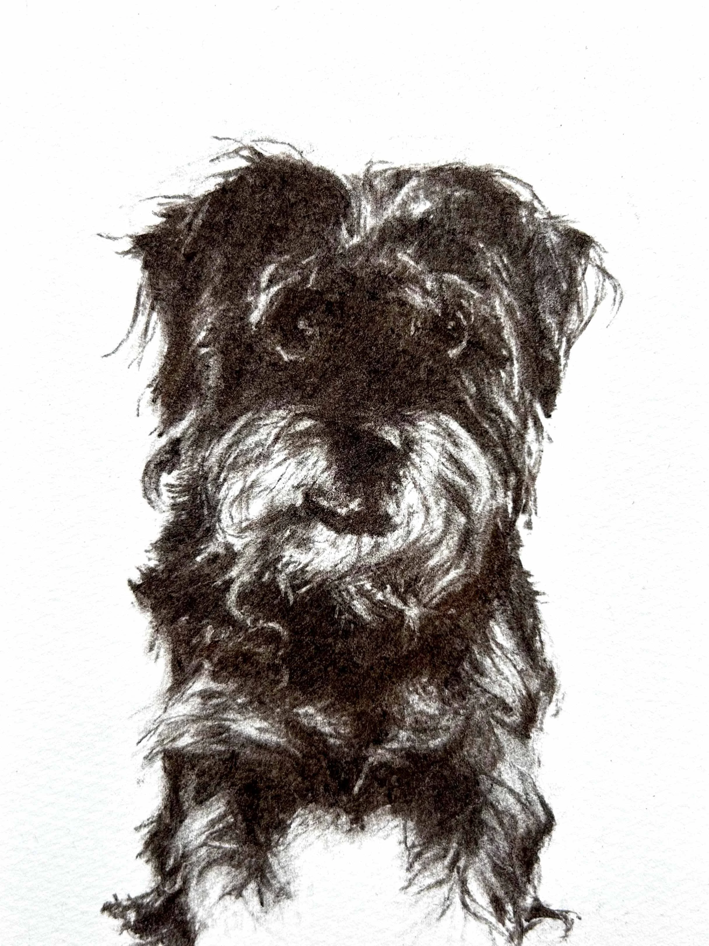 Vine charcoal on paper, 5x7 in. 