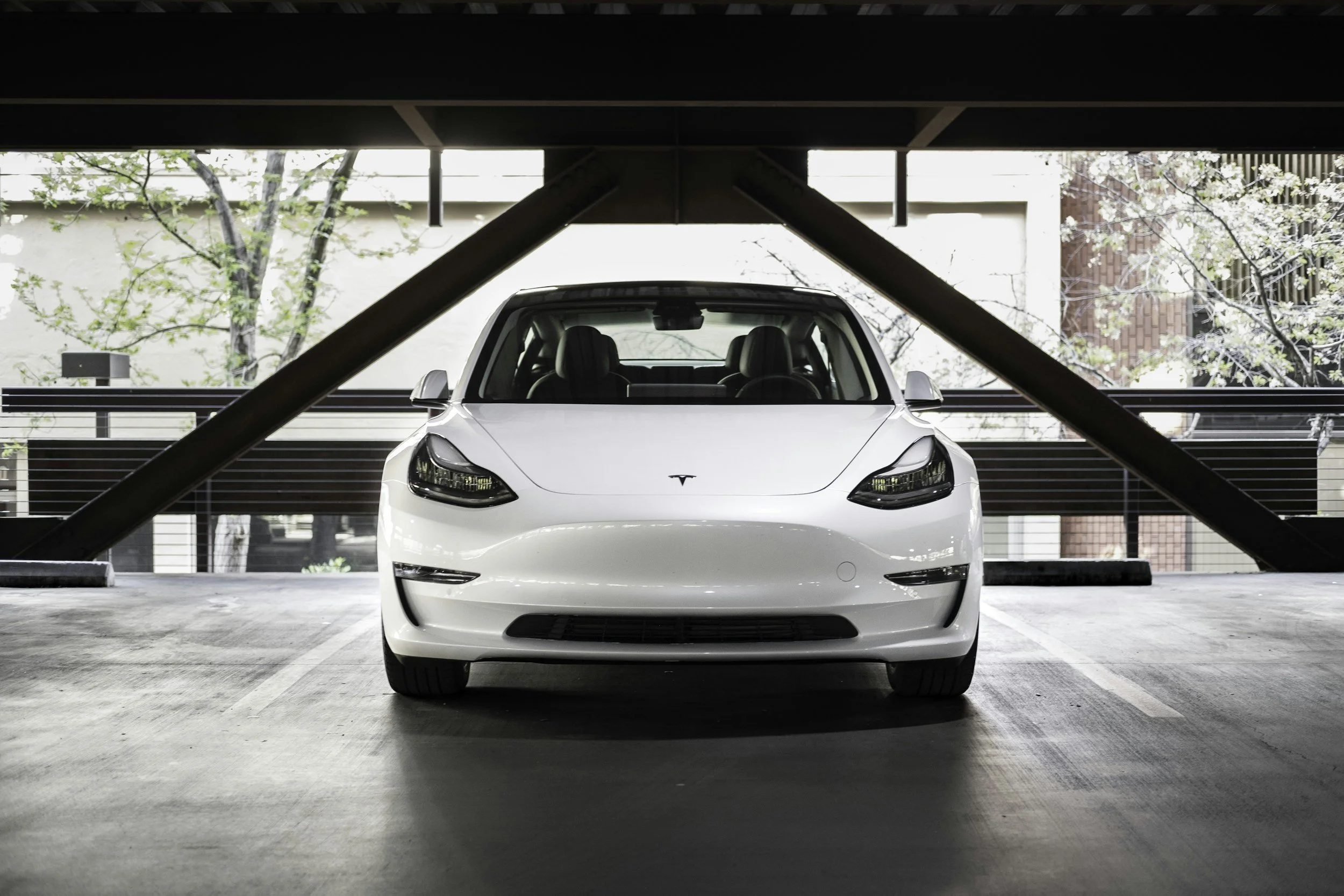 tesla white