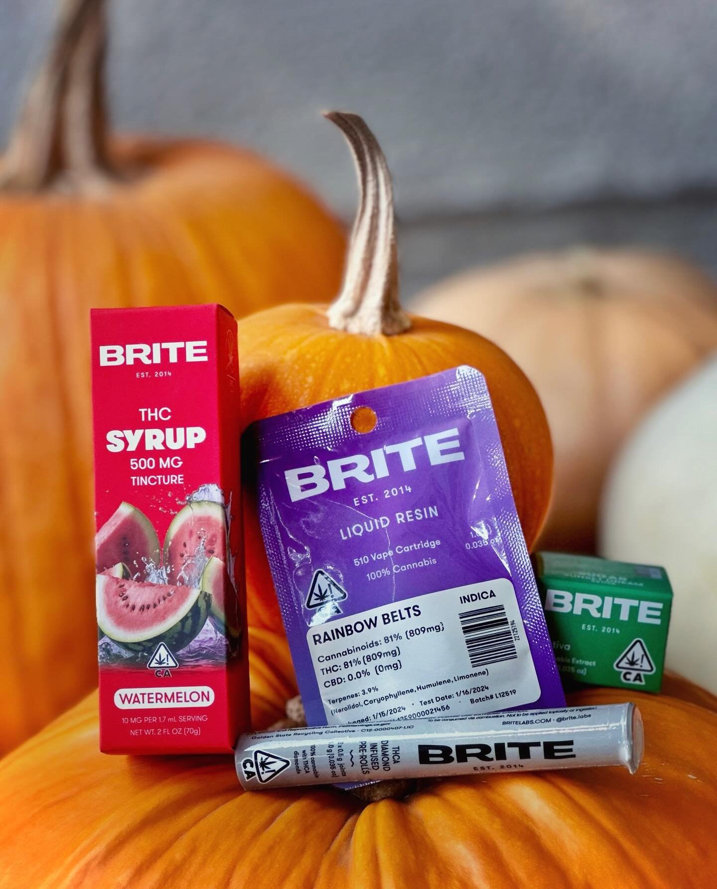 Here&rsquo;s to having more treats than tricks tonight. Happy Halloween, everyone! 🎃 #stayBRITE