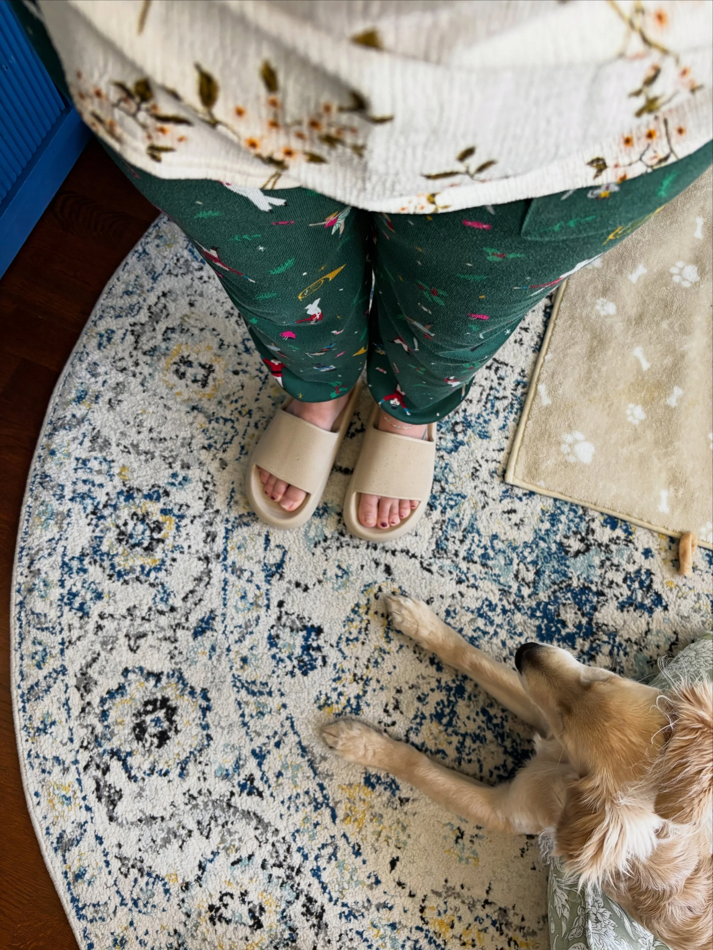 It&rsquo;s one of these dressing days 😭😵&zwj;💫 
MONDAYS, ya know? 

Spring up top, Christmas on the bottom. Are Zoom outfits still a thing 🤡