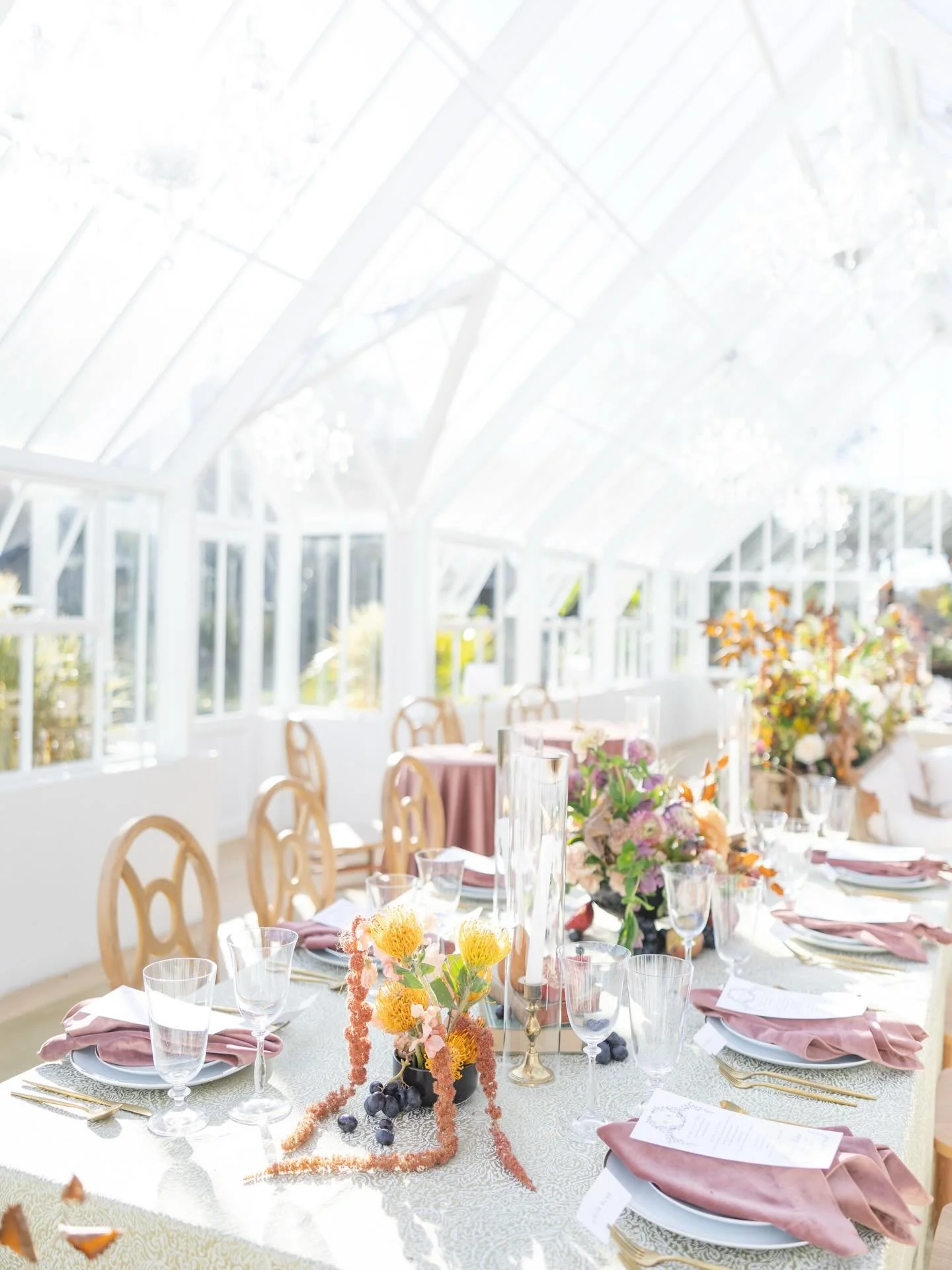 Reminiscing on these beautiful colors on this gorgeous fall day🧡 

Associate shot for @juliareneephoto