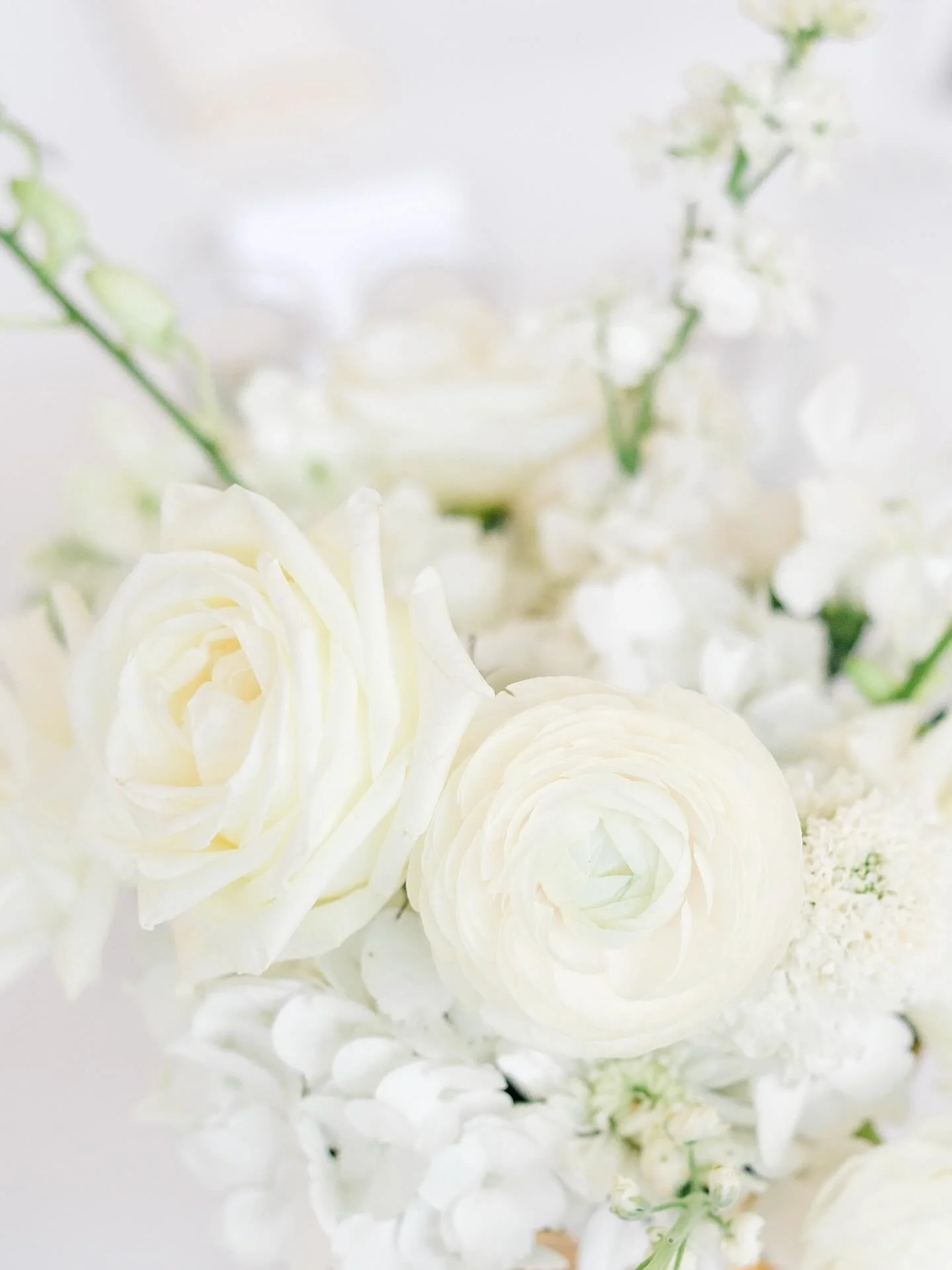 Some pretty florals for this snowy Wilmington weekend 🤍

I&rsquo;ll be fully embracing the cozy vibes editing, watching The Traitors, needlepointing, and baking some treats. Hope everyone has a safe, warm weekend ☃️