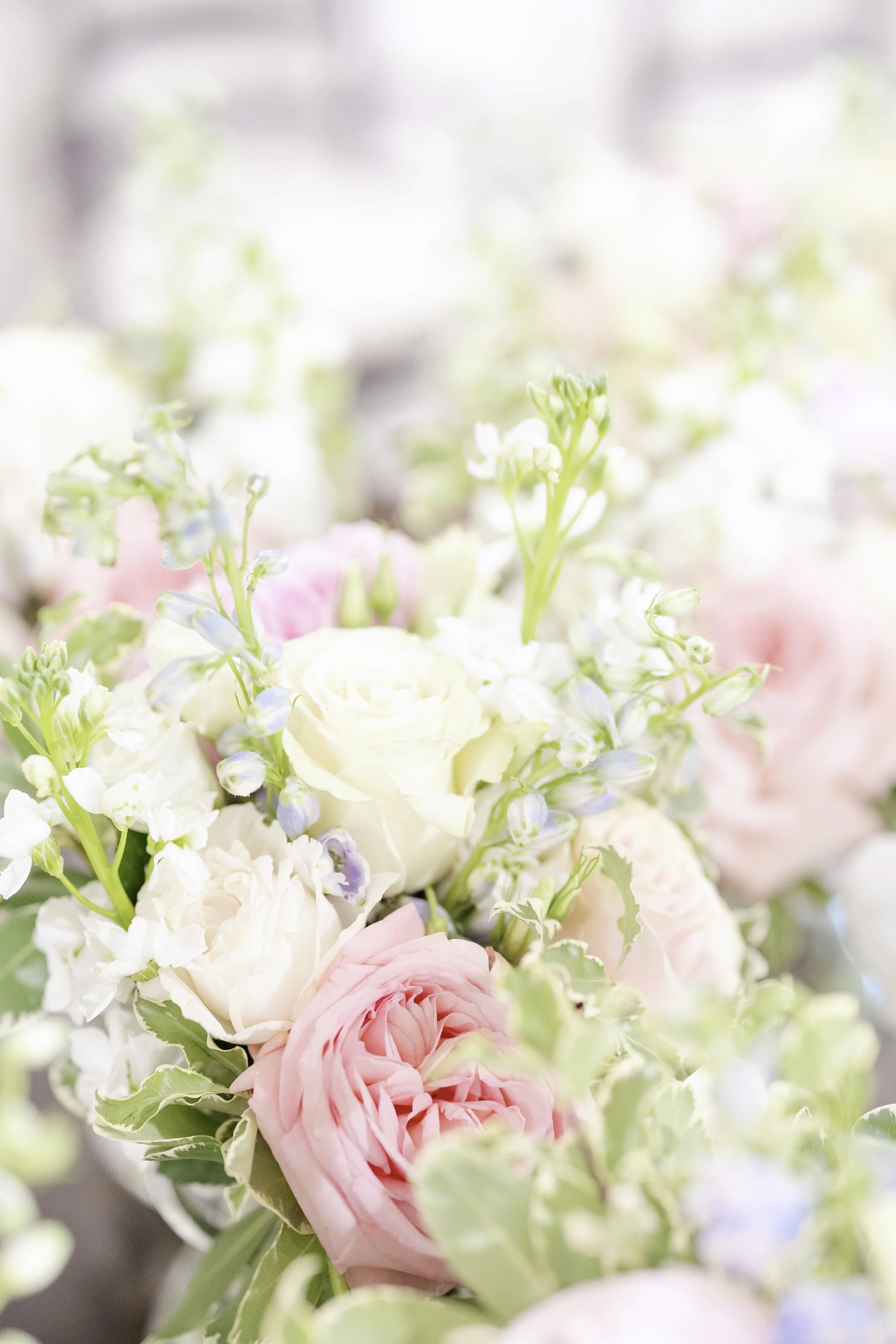 florals005.jpg