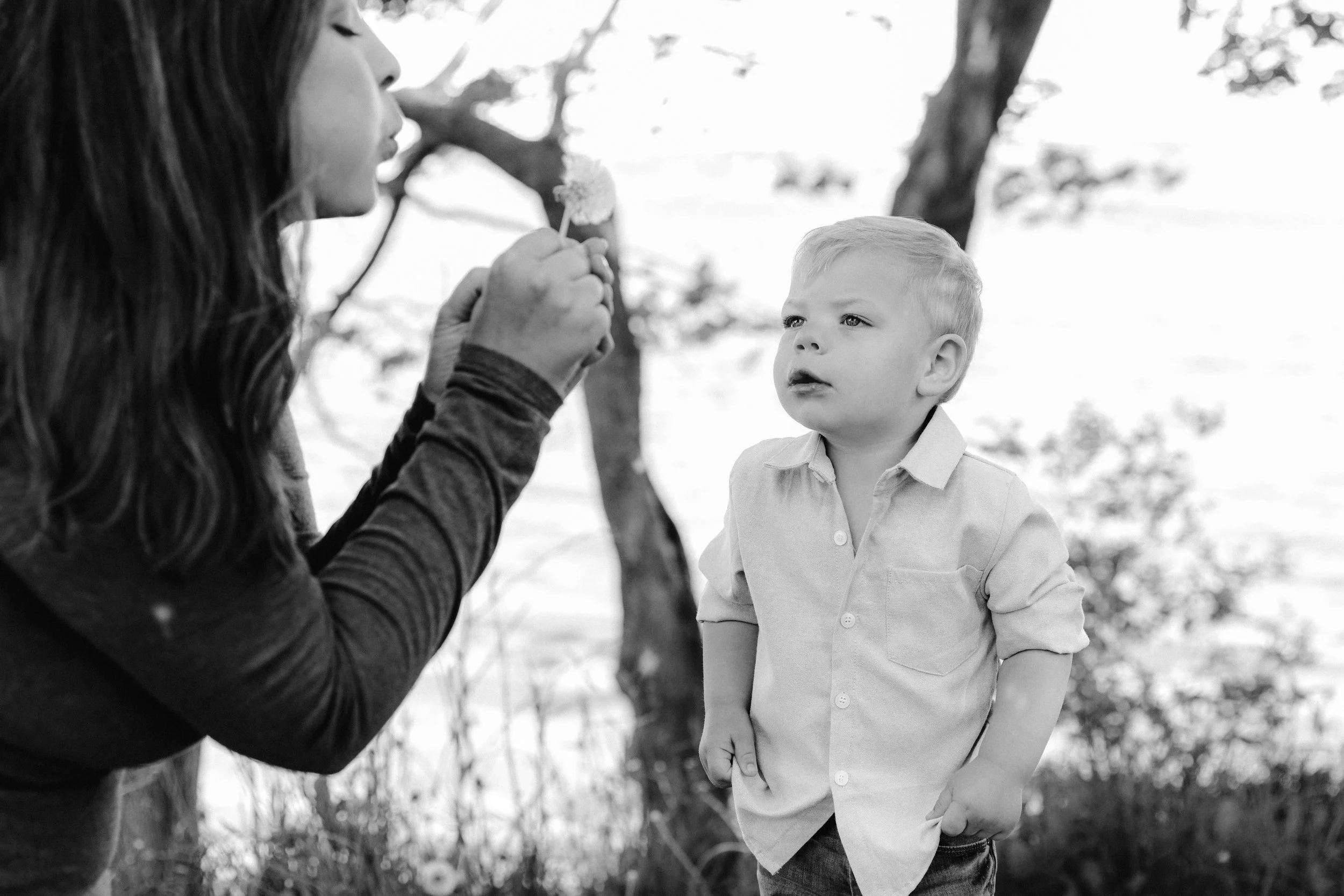  A mother blows a dandelion at her son 