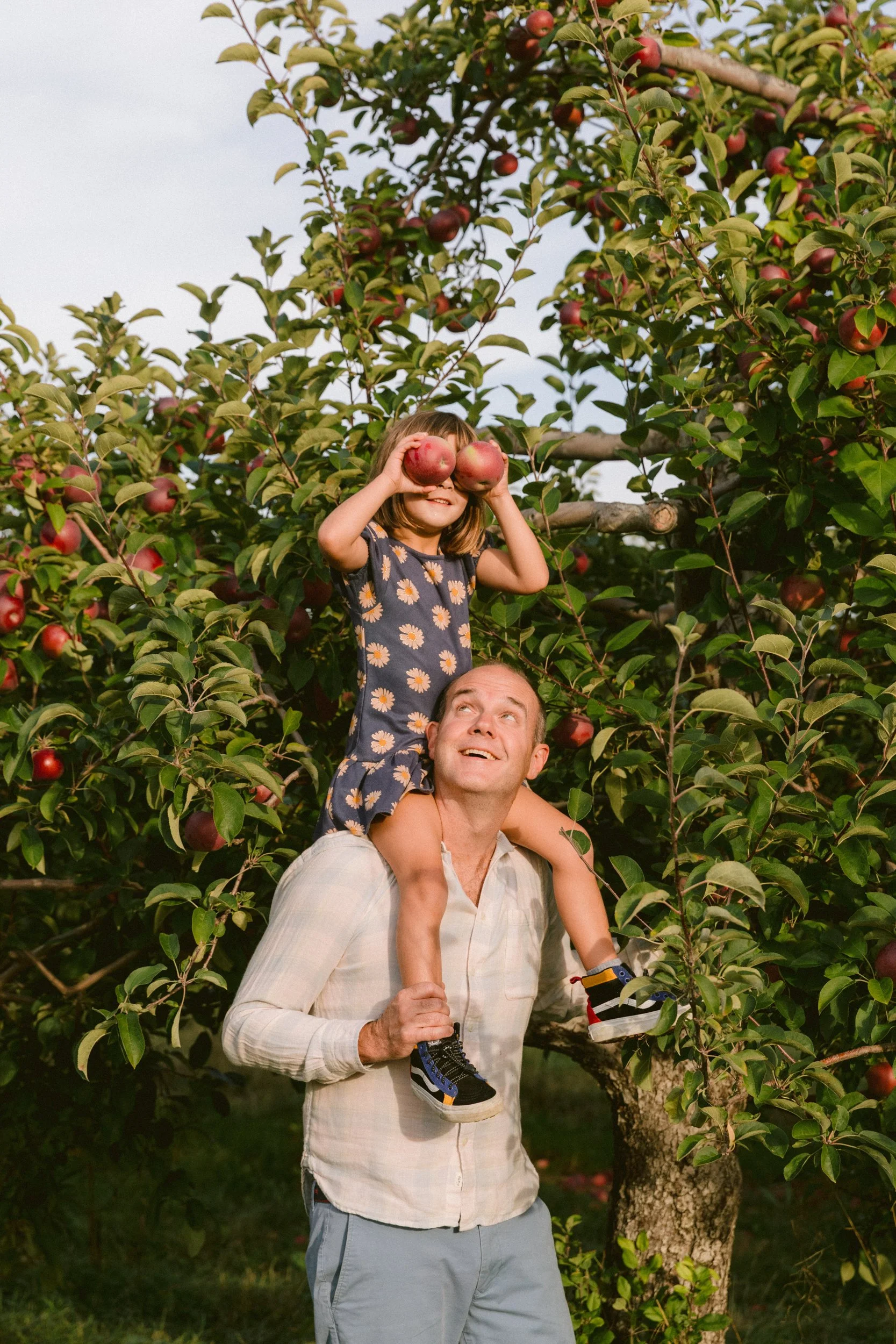 maine-apple-orchard-family-photography-1.jpg