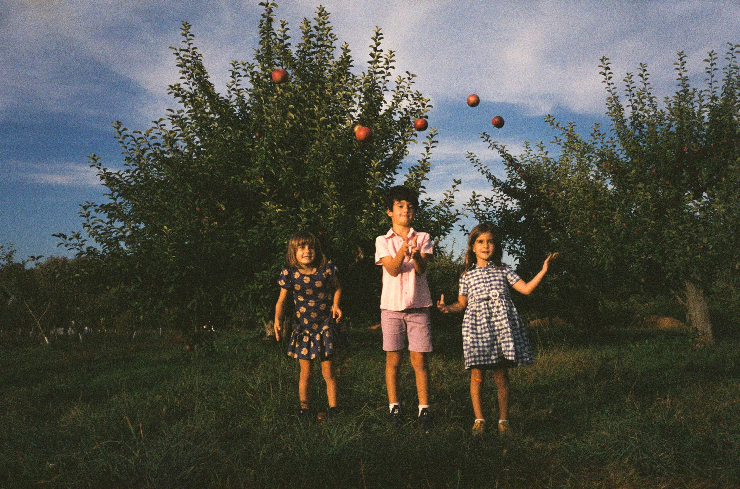 maine-apple-orchard-family-photography-2.jpg